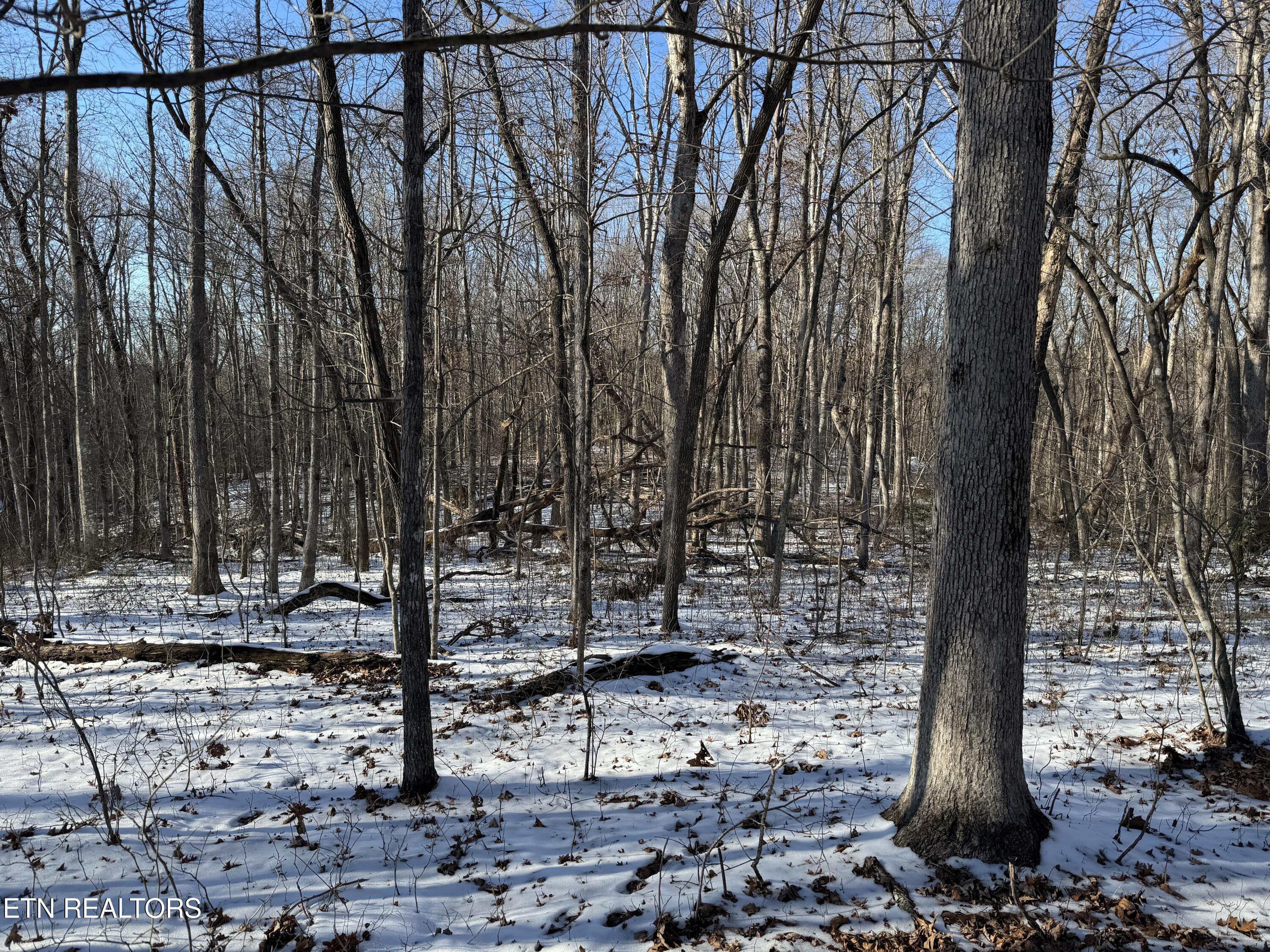 Little Place Property Photo 14
