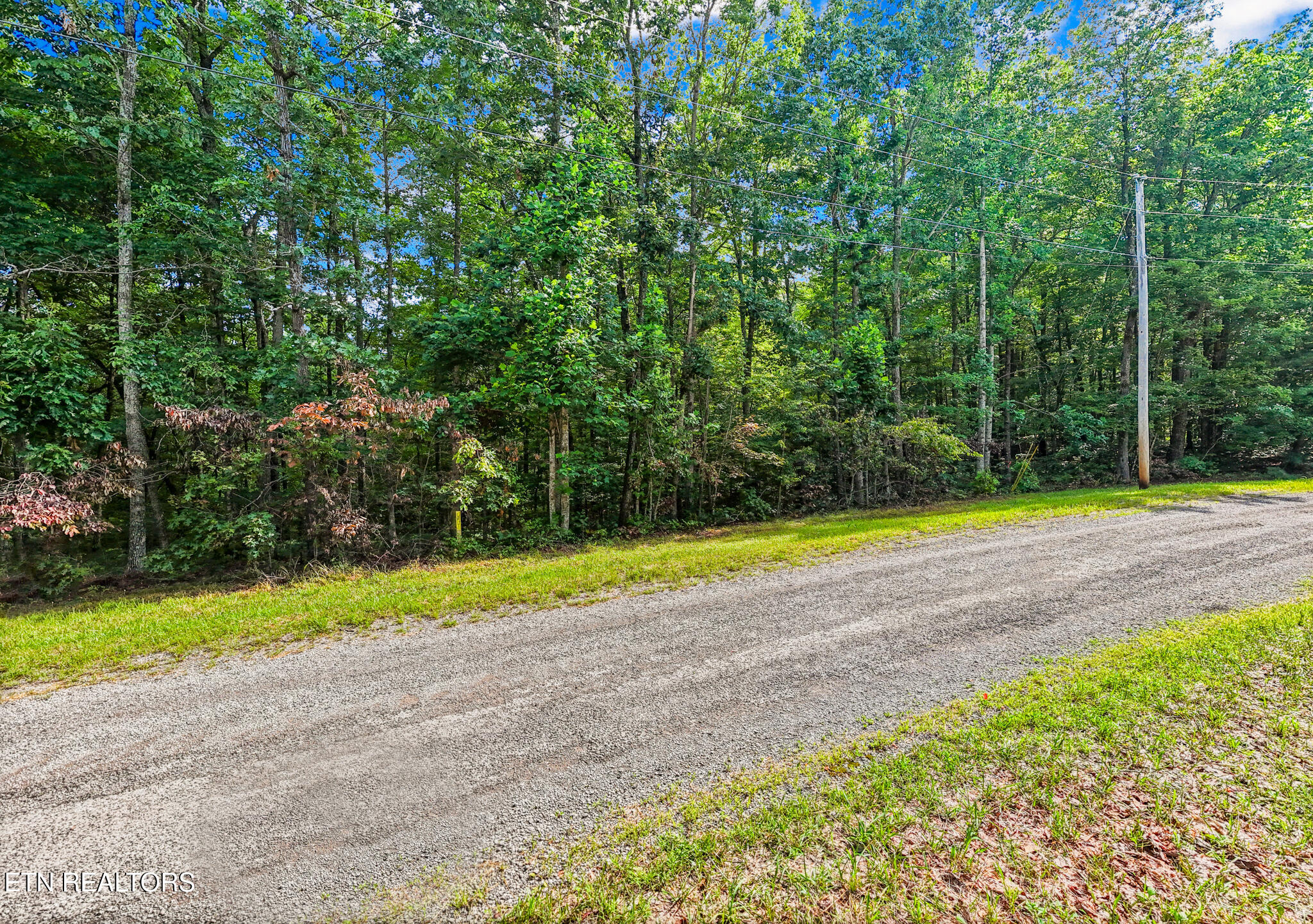 Little Place Property Photo 16