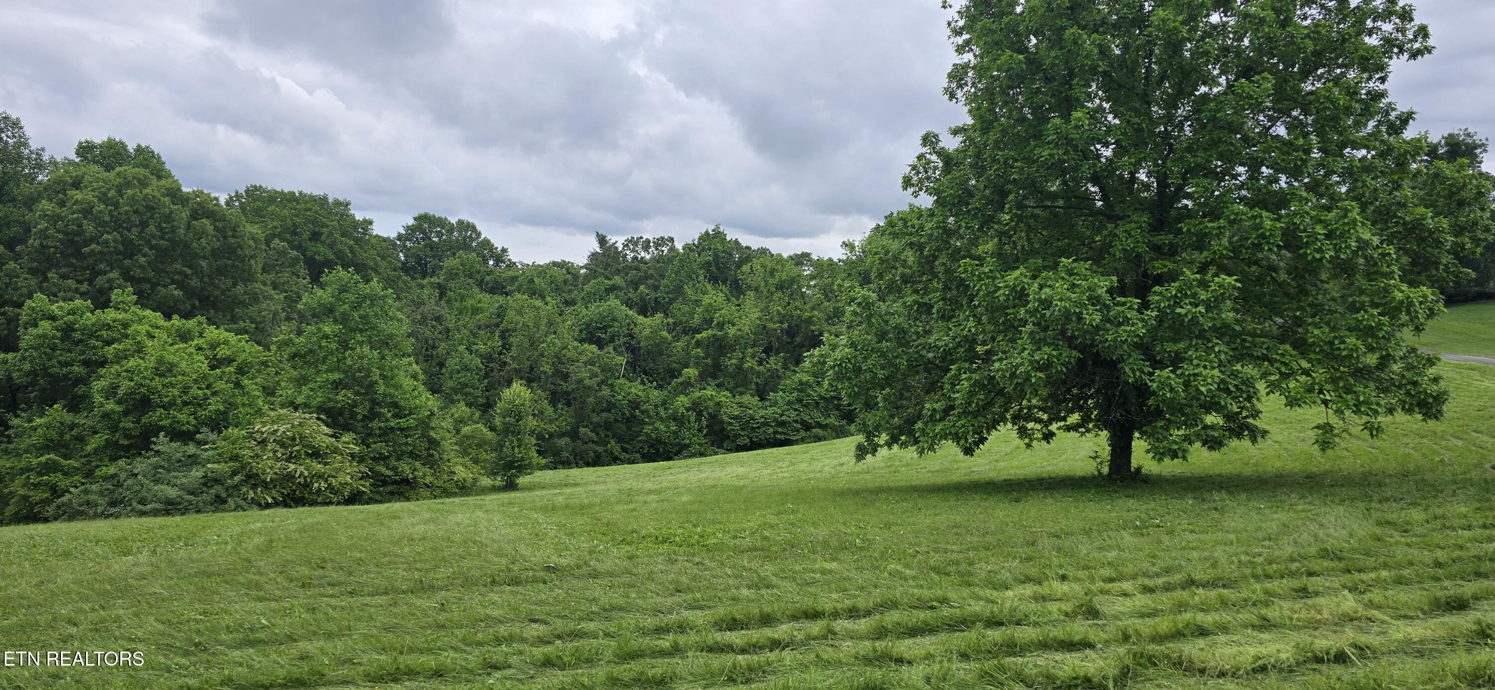 Lot 1 Holt Drive Property Photo