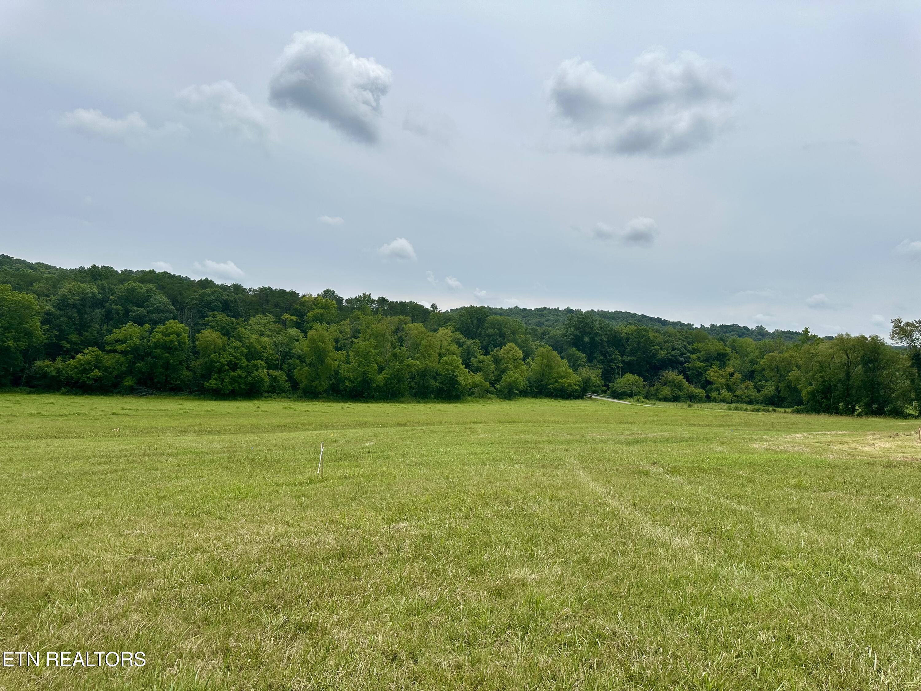 Lot 5 Rutledge Pike Property Photo