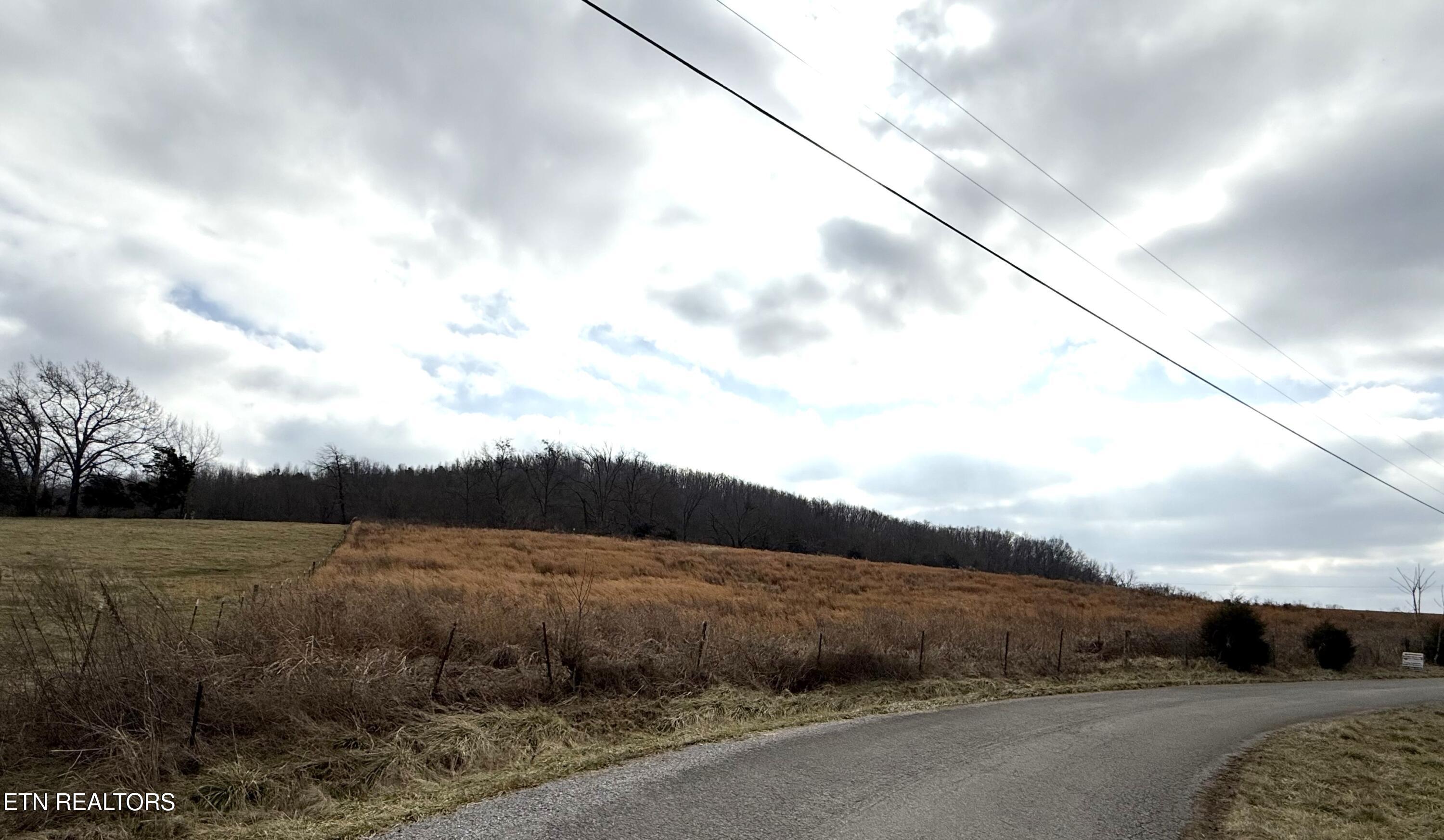 3.94 Ac Anderson Rd Property Photo