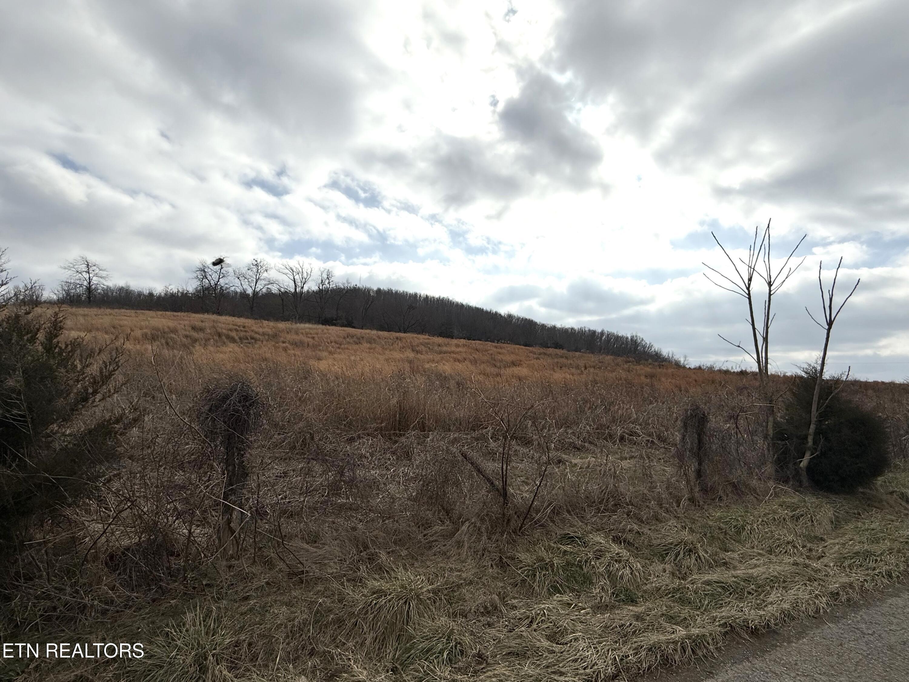 3.94 Ac Anderson Rd Property Photo 2