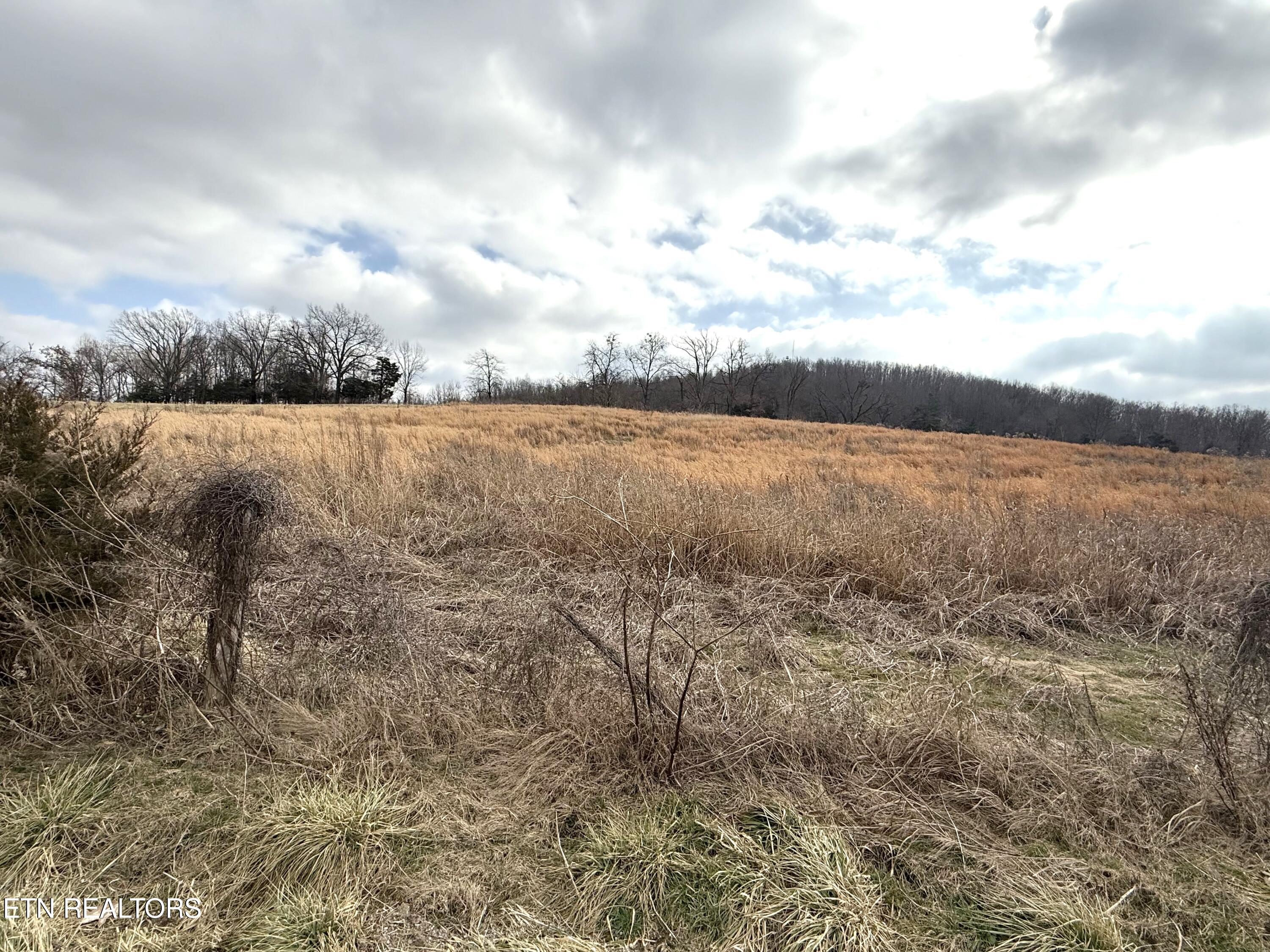 3.94 Ac Anderson Rd Property Photo 4