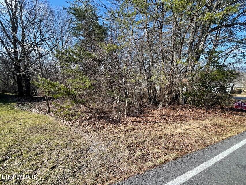 428 Lakeview Drive Property Photo 3
