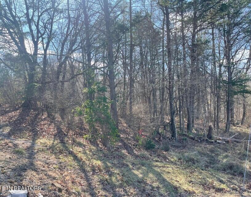 428 Lakeview Drive Property Photo 4