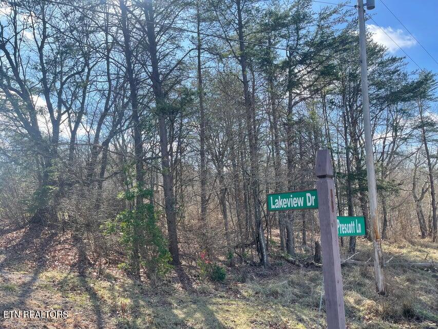 428 Lakeview Drive Property Photo 5