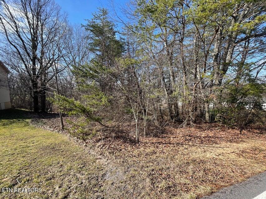 428 Lakeview Drive Property Photo 6