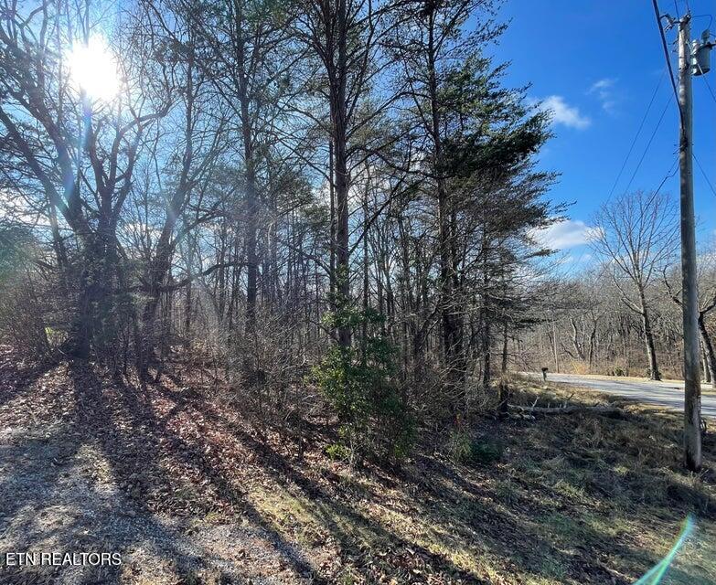 428 Lakeview Drive Property Photo 7