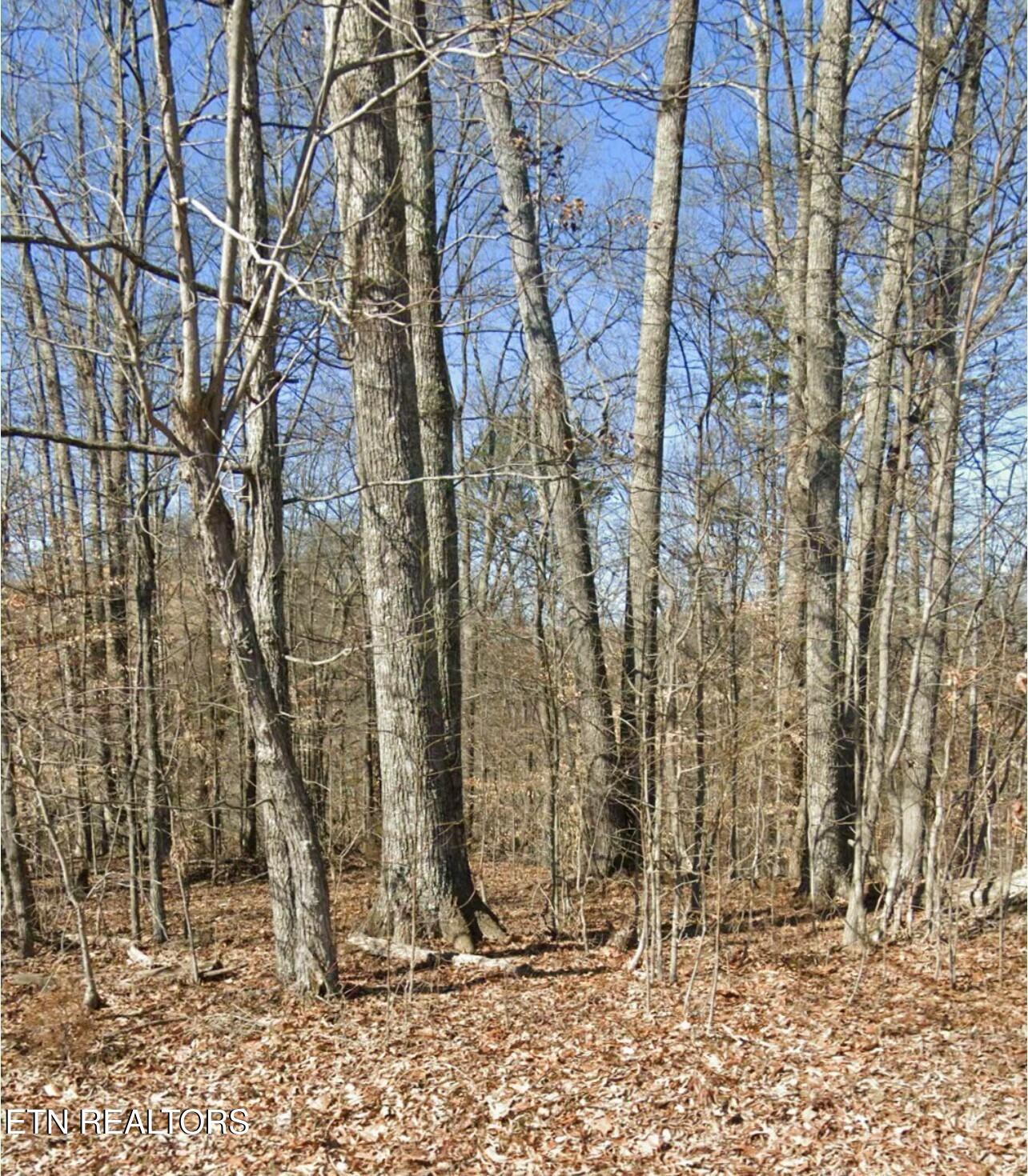 Madeline Ln Property Photo
