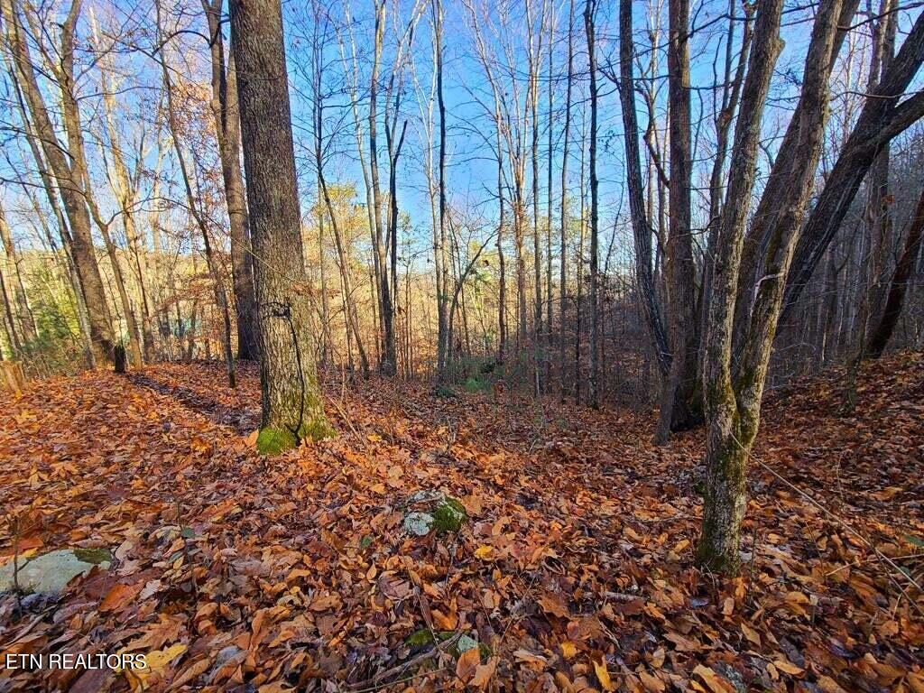 Lot 9 Walden Flats Way Property Photo