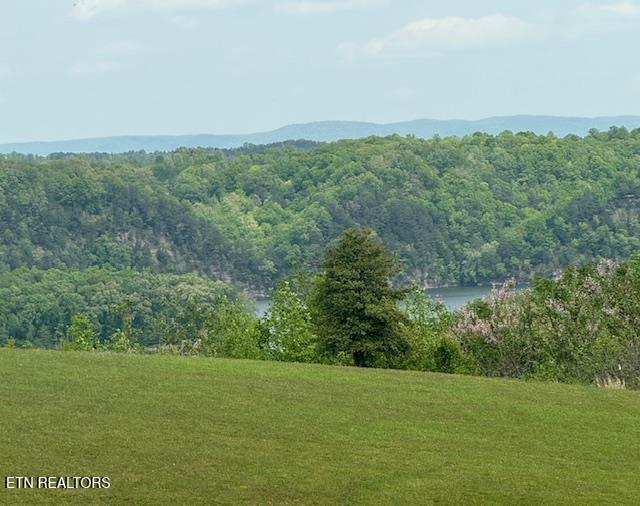 Lot 13 Holly Bend Dr Property Photo