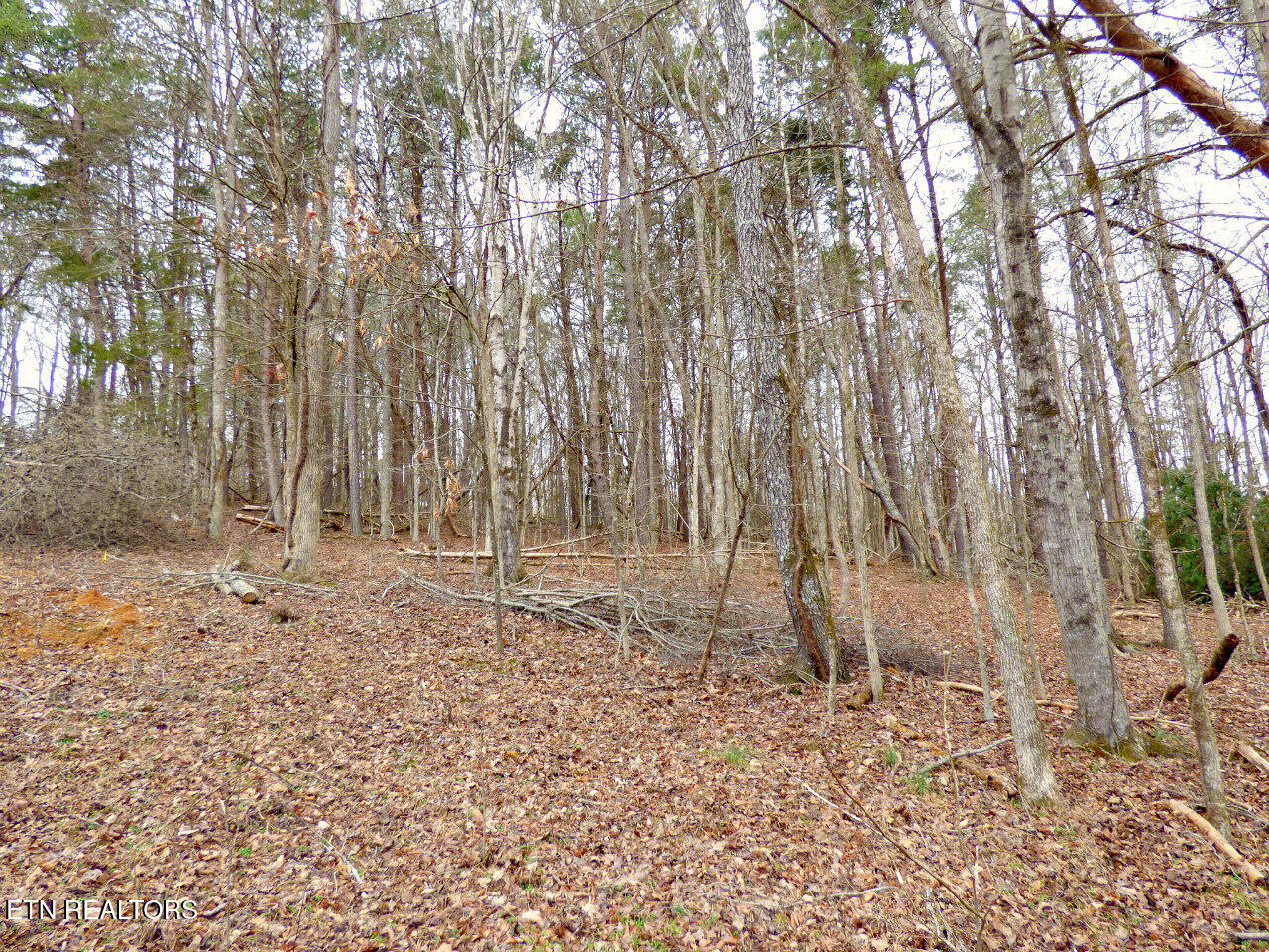 Lot 13 Back Nine Drive Property Photo