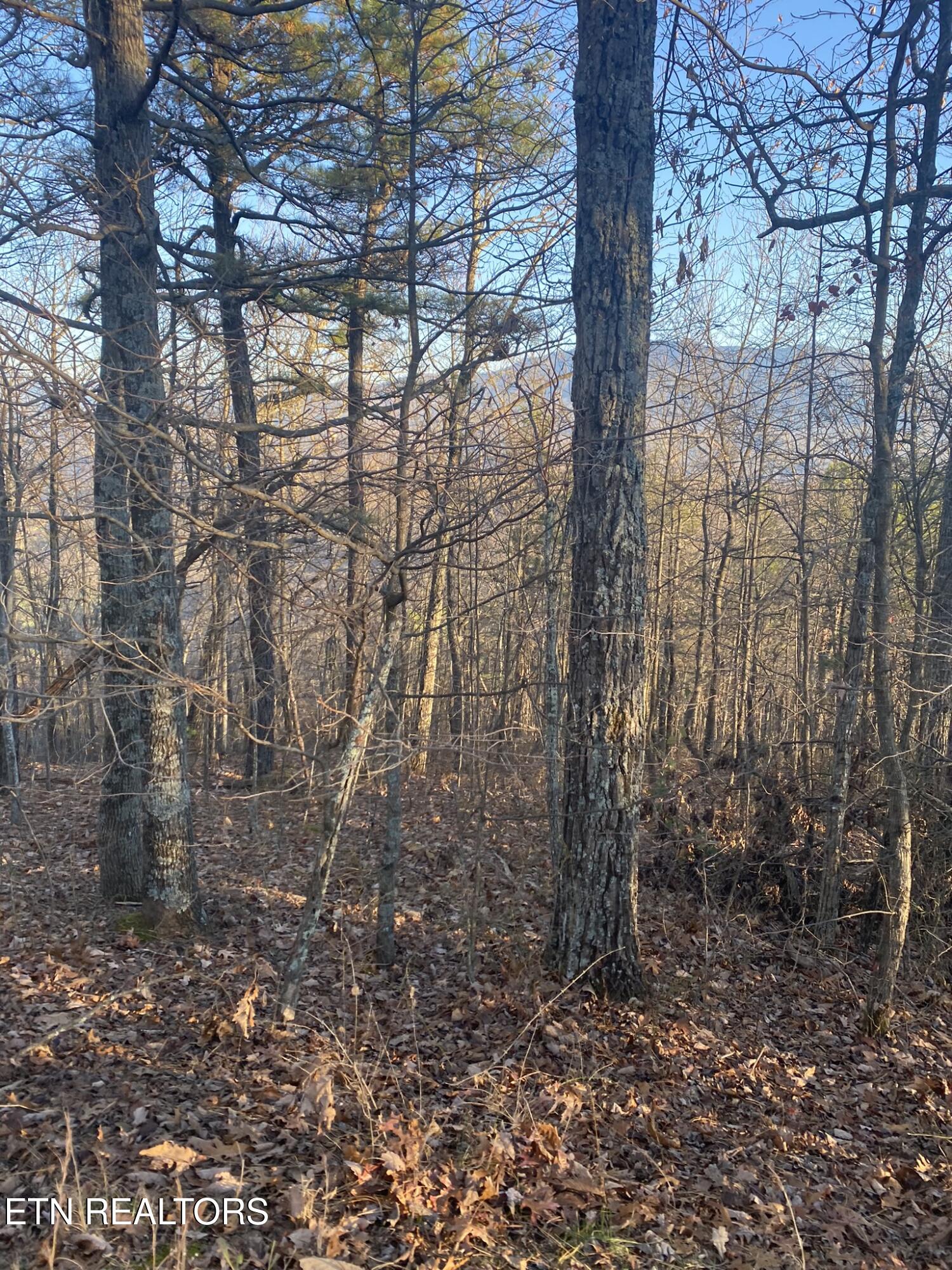 D-7 Lightning Bug Way Property Photo 6