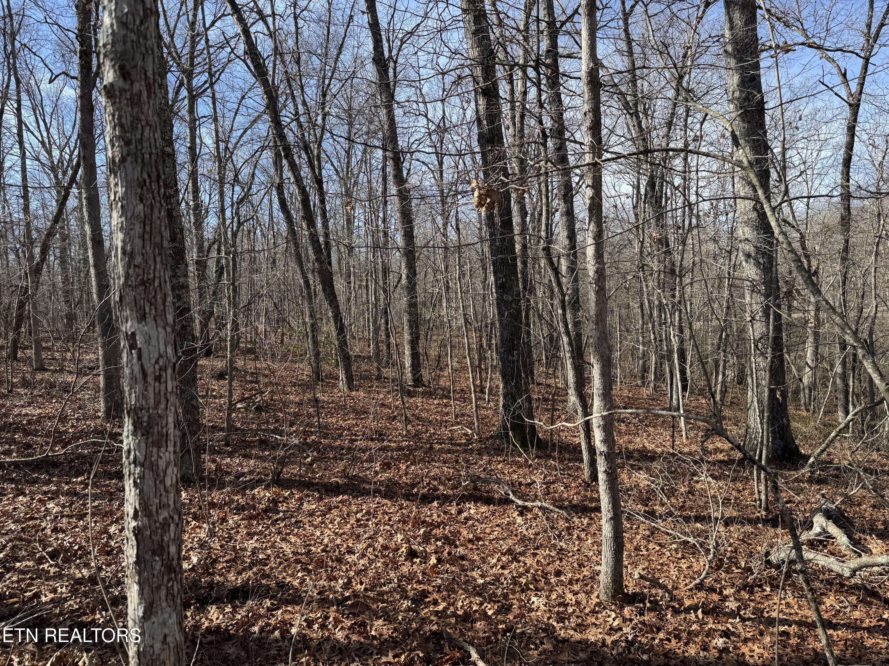 Lot 38 Crystal Point Property Photo