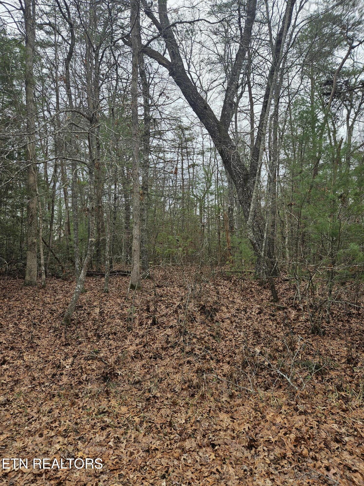 5053 Broken Bow Drive Property Photo 1