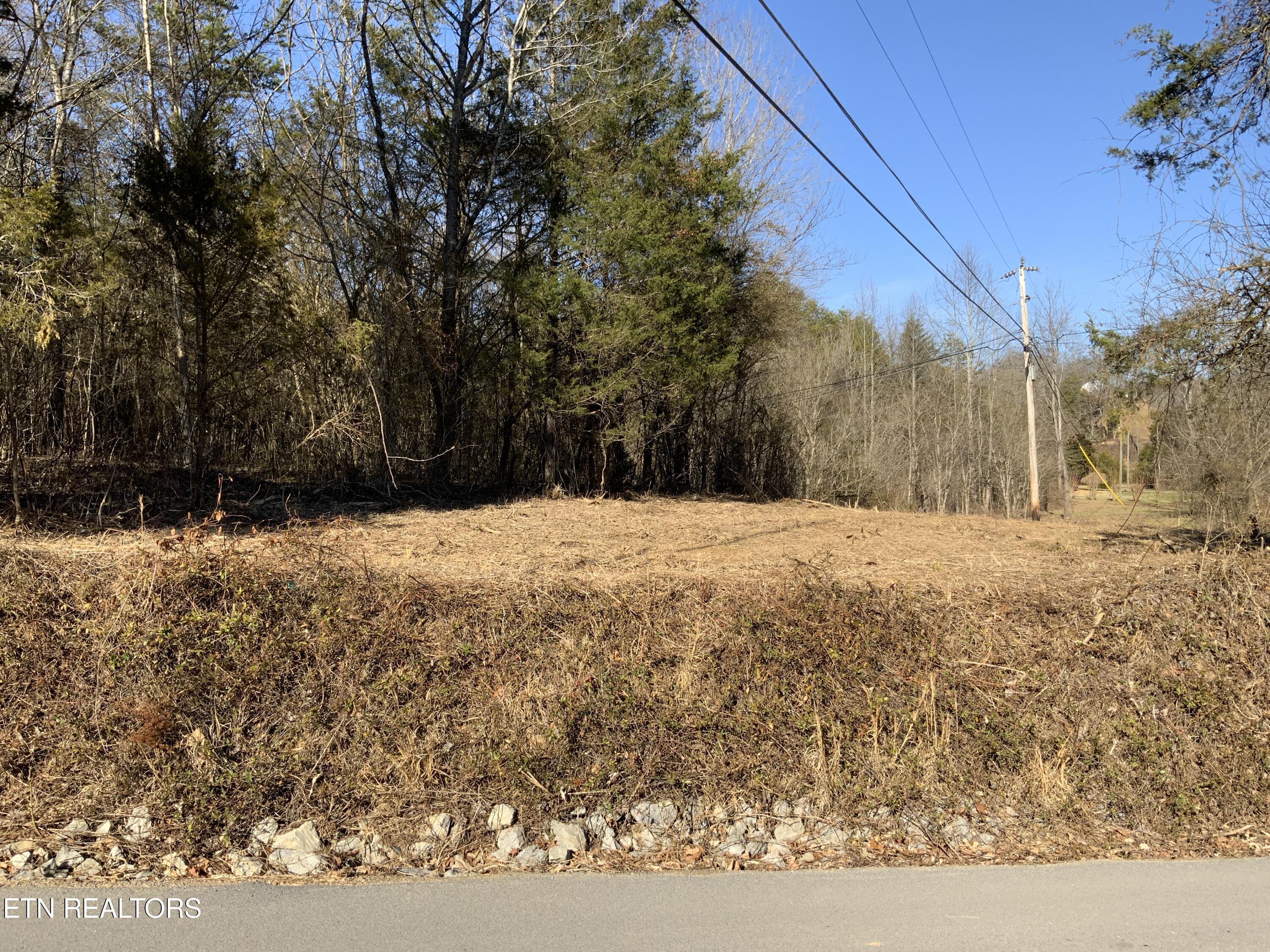 Lot 1 Mccarter Hollow Rd. Property Photo