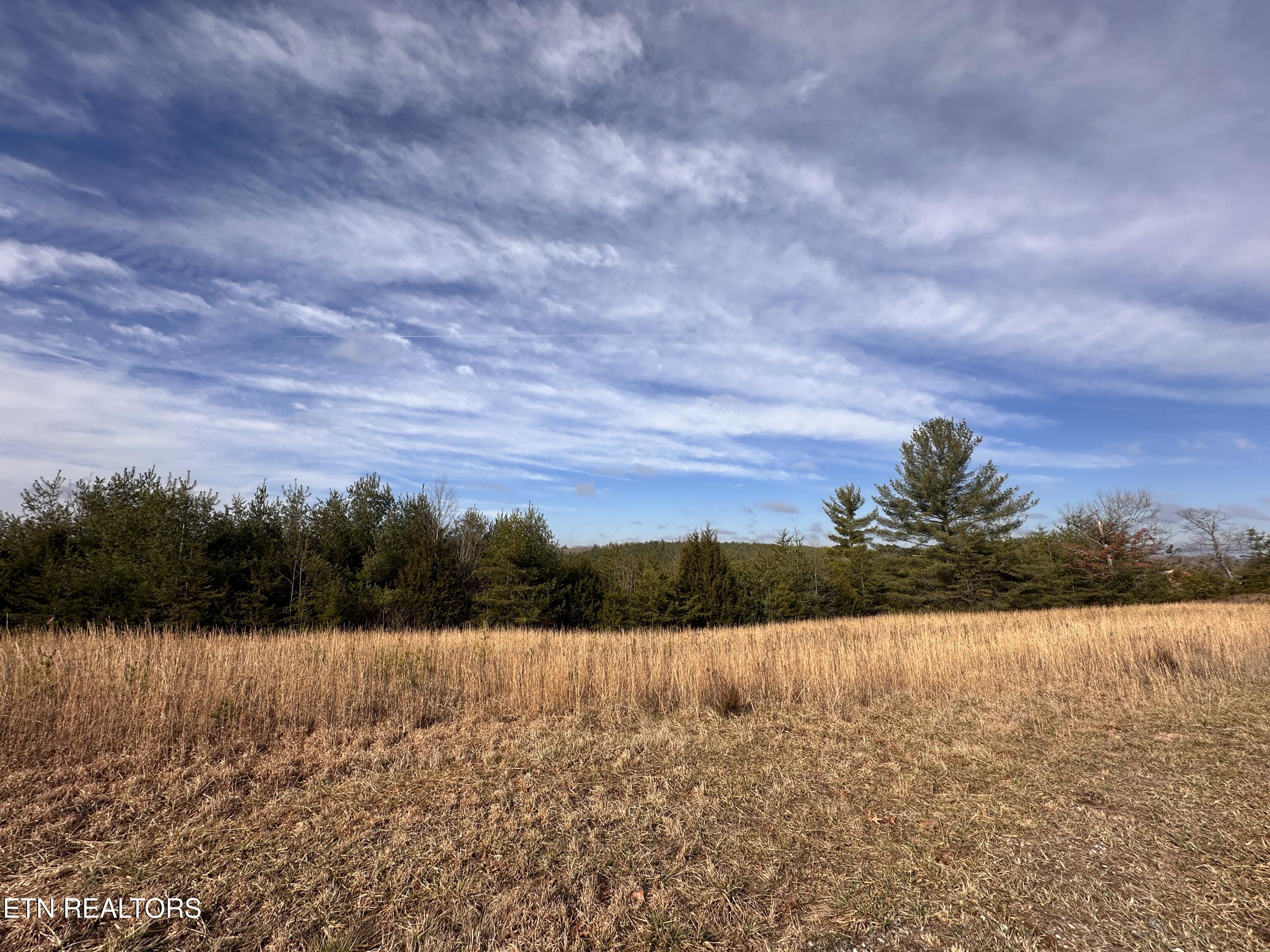 6.94ac White Crk Property Photo