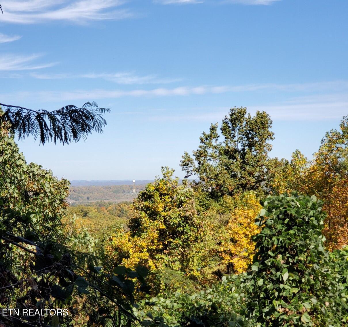 Lot 34r Pine Peak Way Property Photo