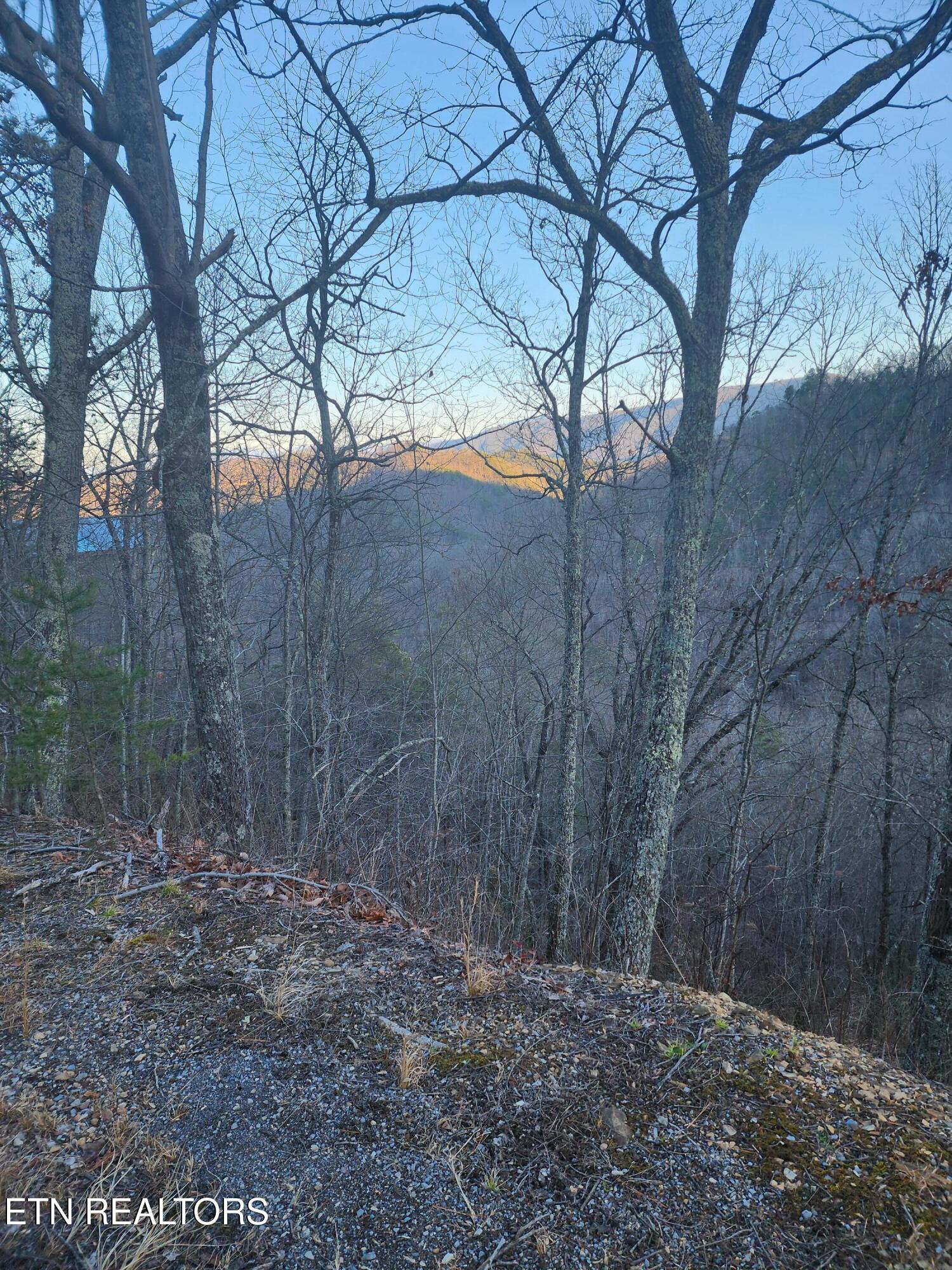 Overholt Trl Lot 3b Property Photo