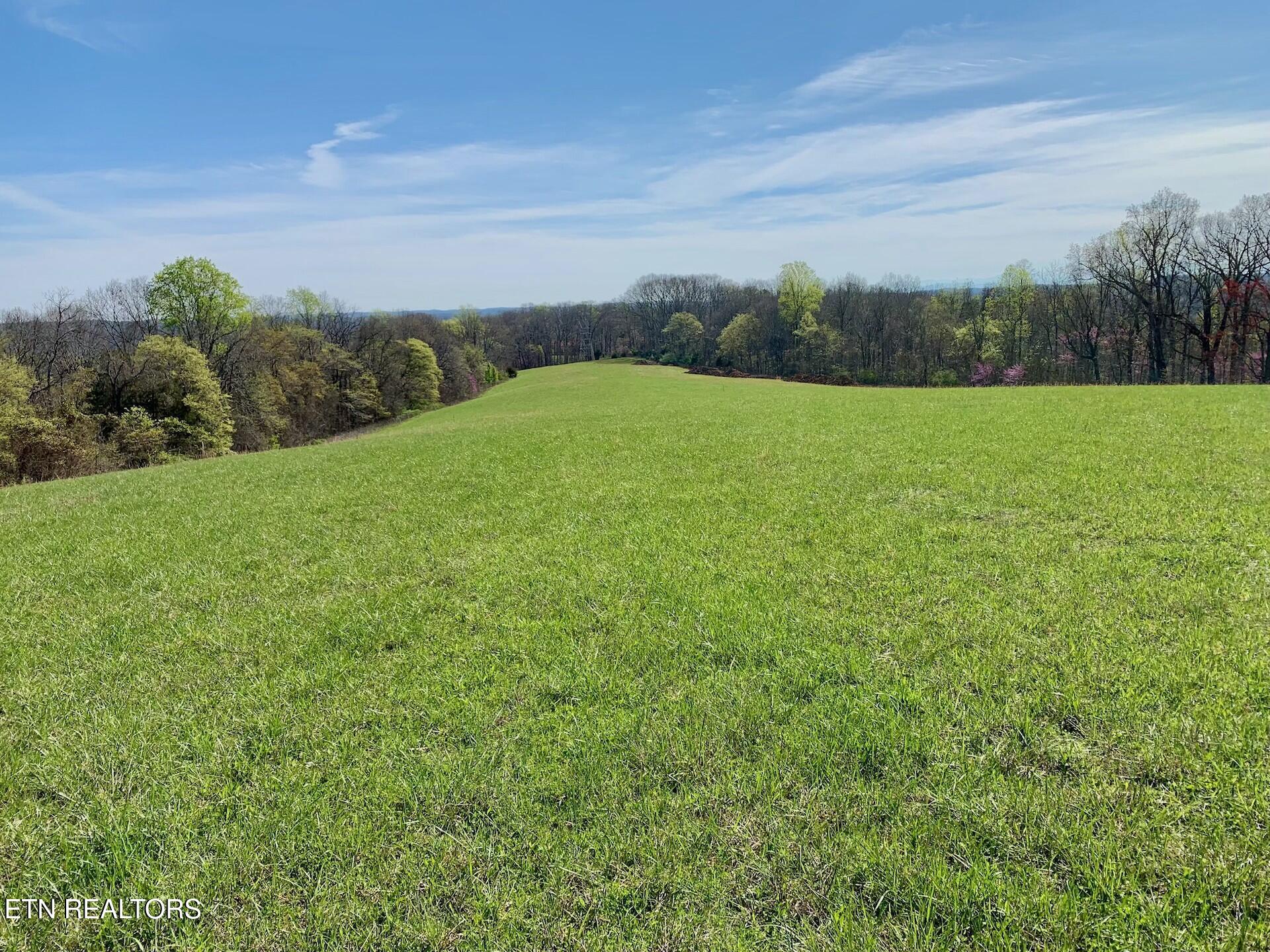 Somerset Estates | Homesite 5 Property Photo