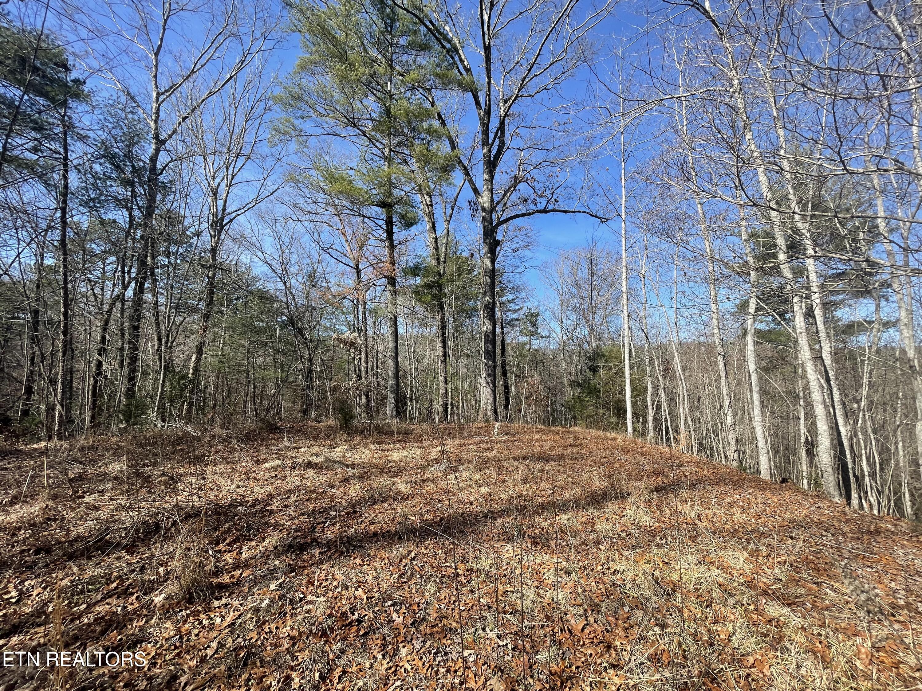 197 Terrapin Drive Property Photo