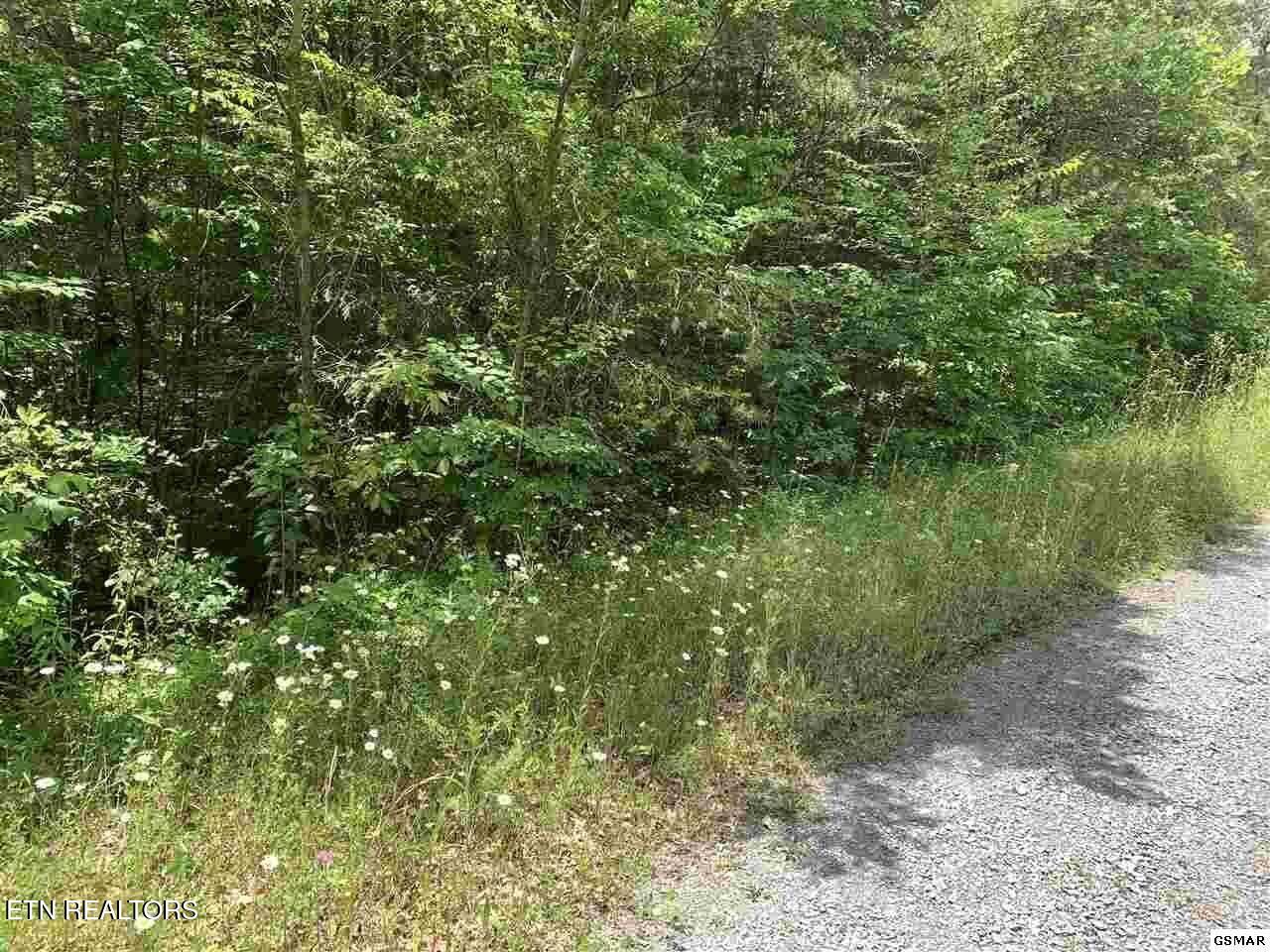 Lot 34 Hedge Maple Way Property Photo