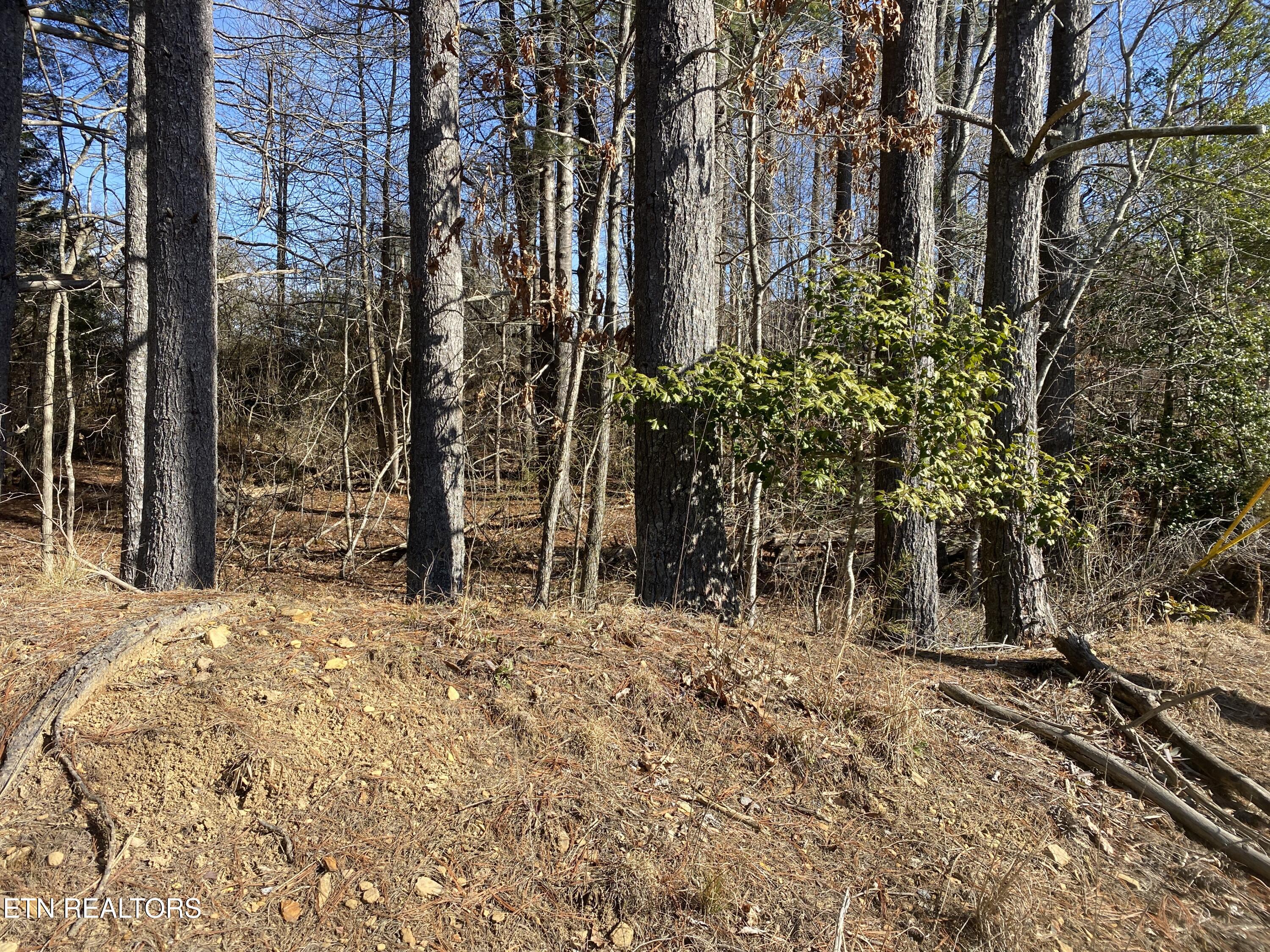 5038 Beaver Rd Property Photo