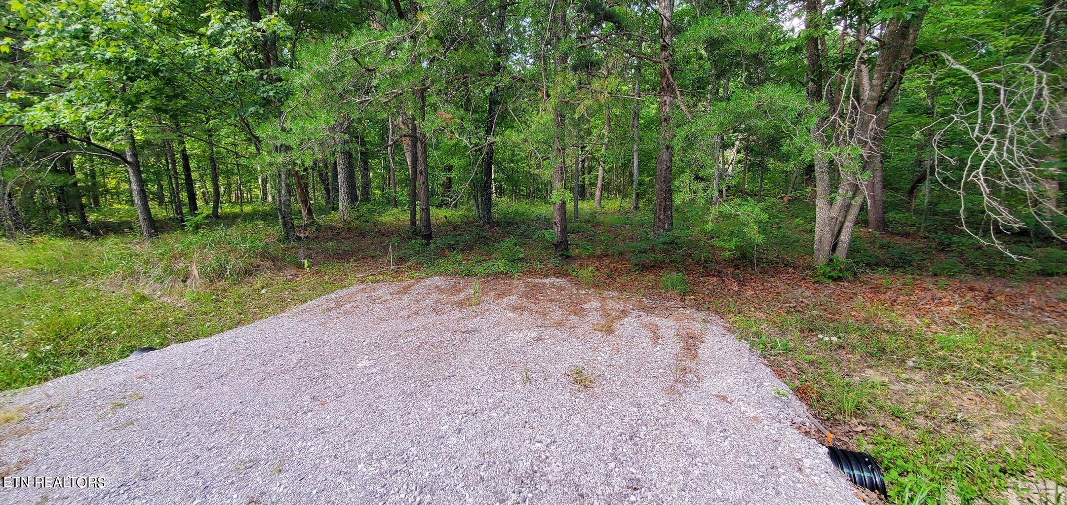 Divide Tr Property Photo