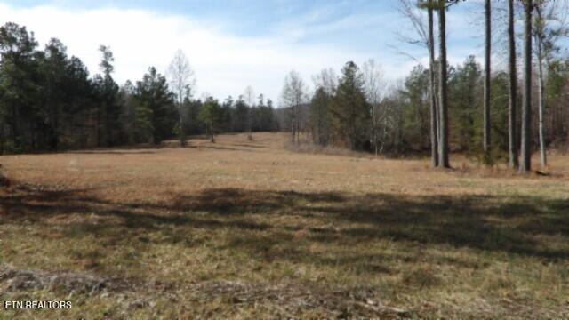37150 Real Estate Listings Main Image