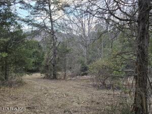 4123 Panther Creek Rd Property Photo 1