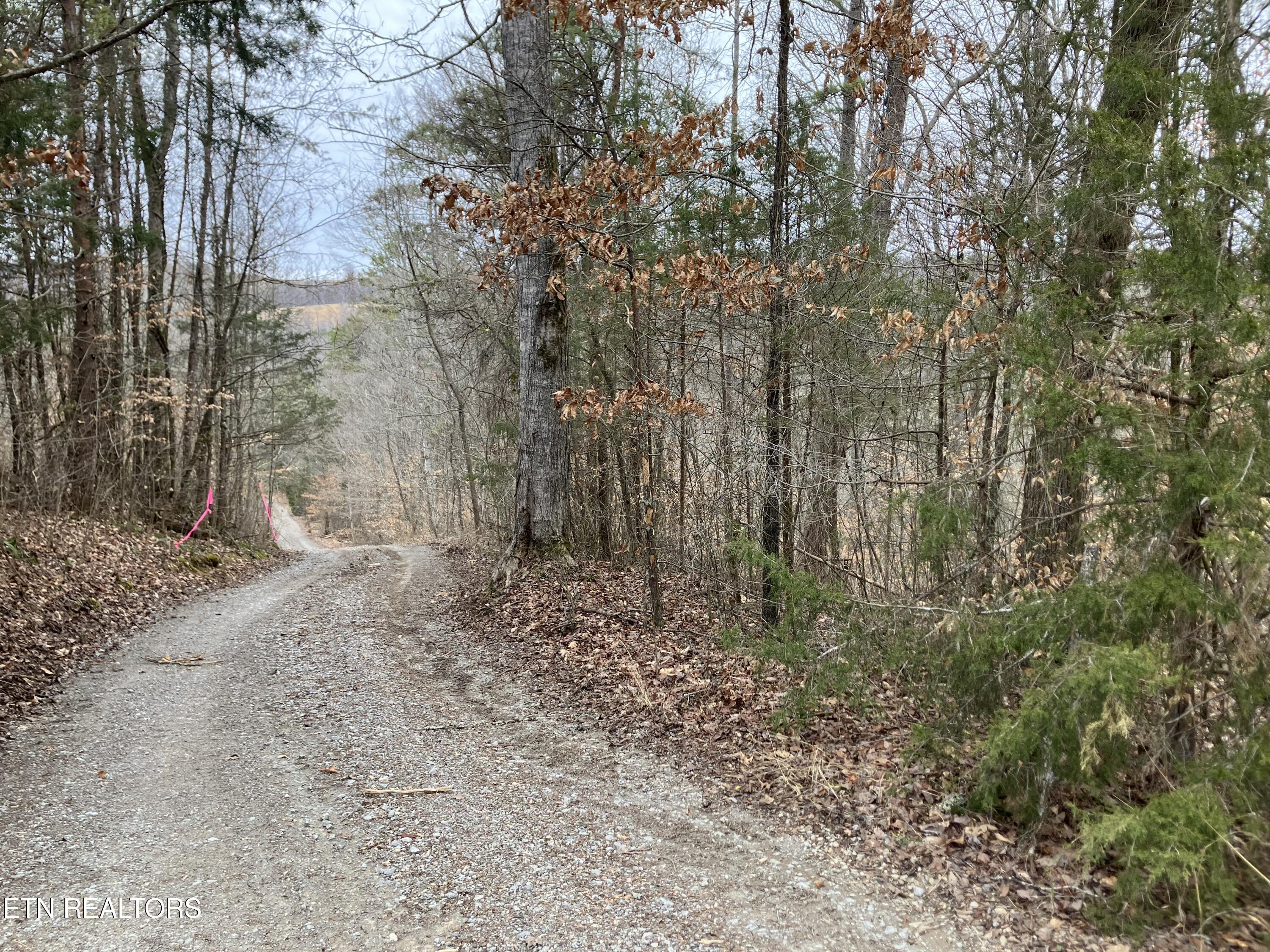Lone Mountain Rd Property Photo