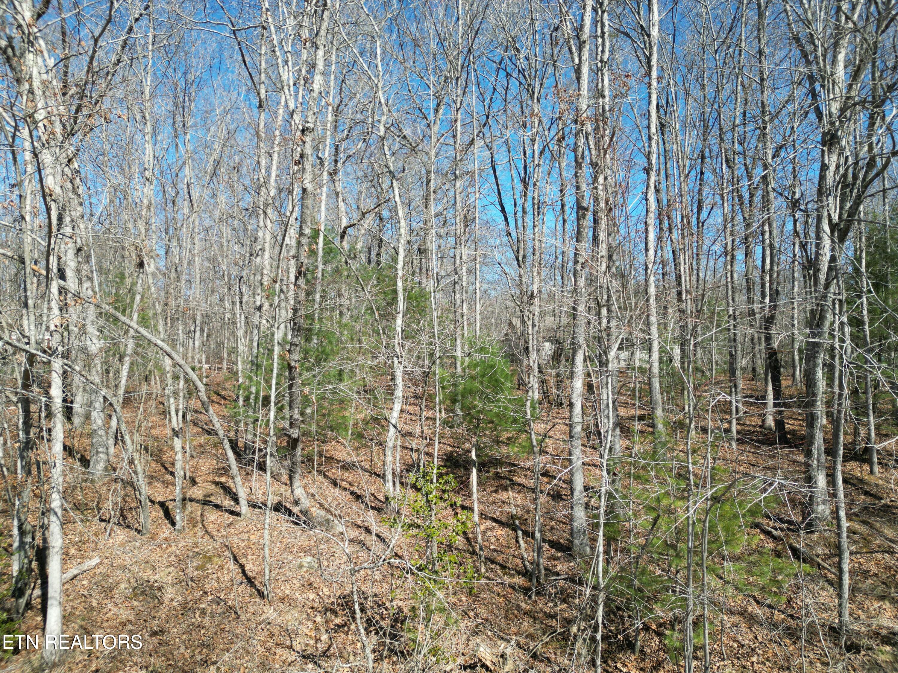2059 Tecumseh Lane Property Photo 1