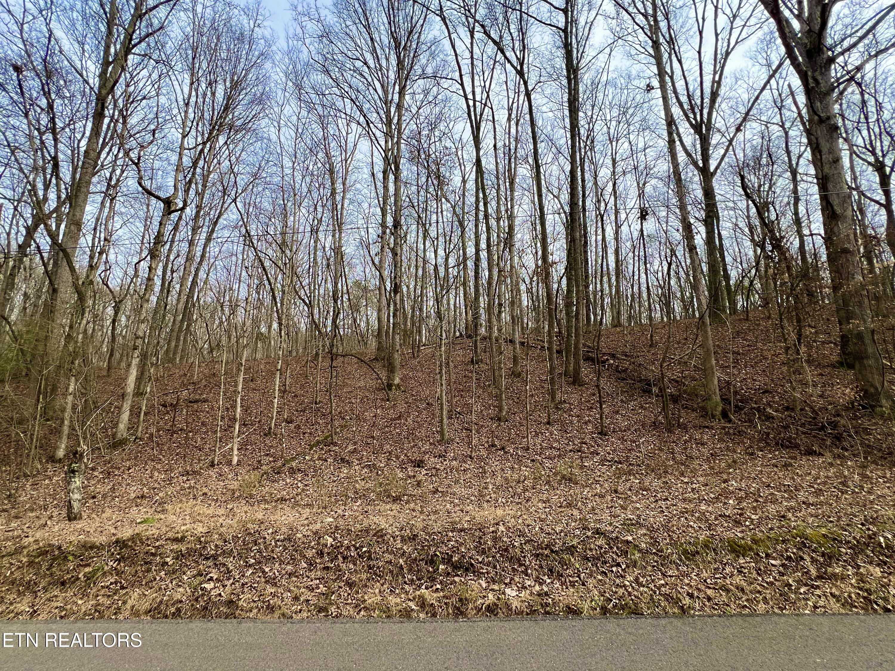 6110 Get Good Hollow Rd Property Photo 1