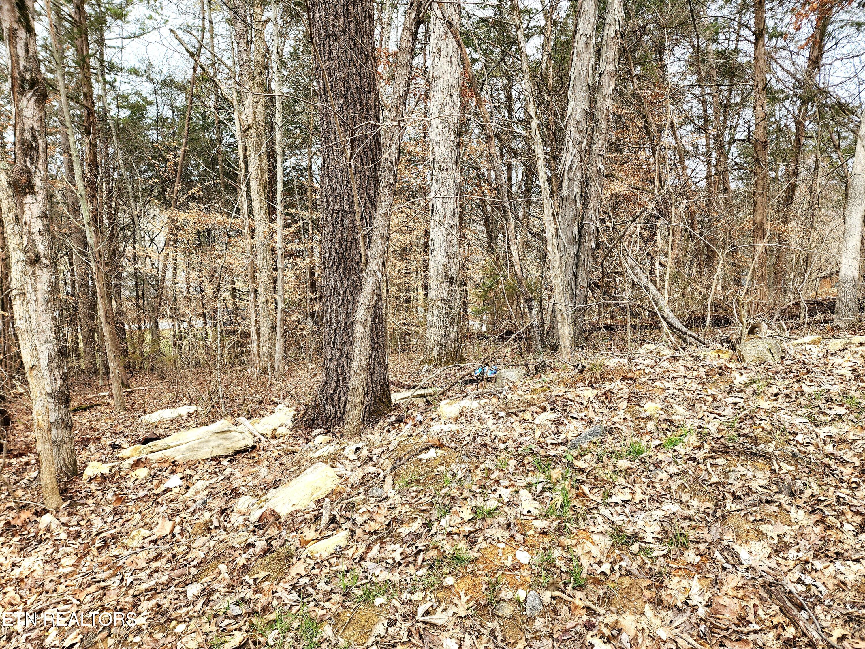 Lot 6 Lynn Drive Drive Property Photo