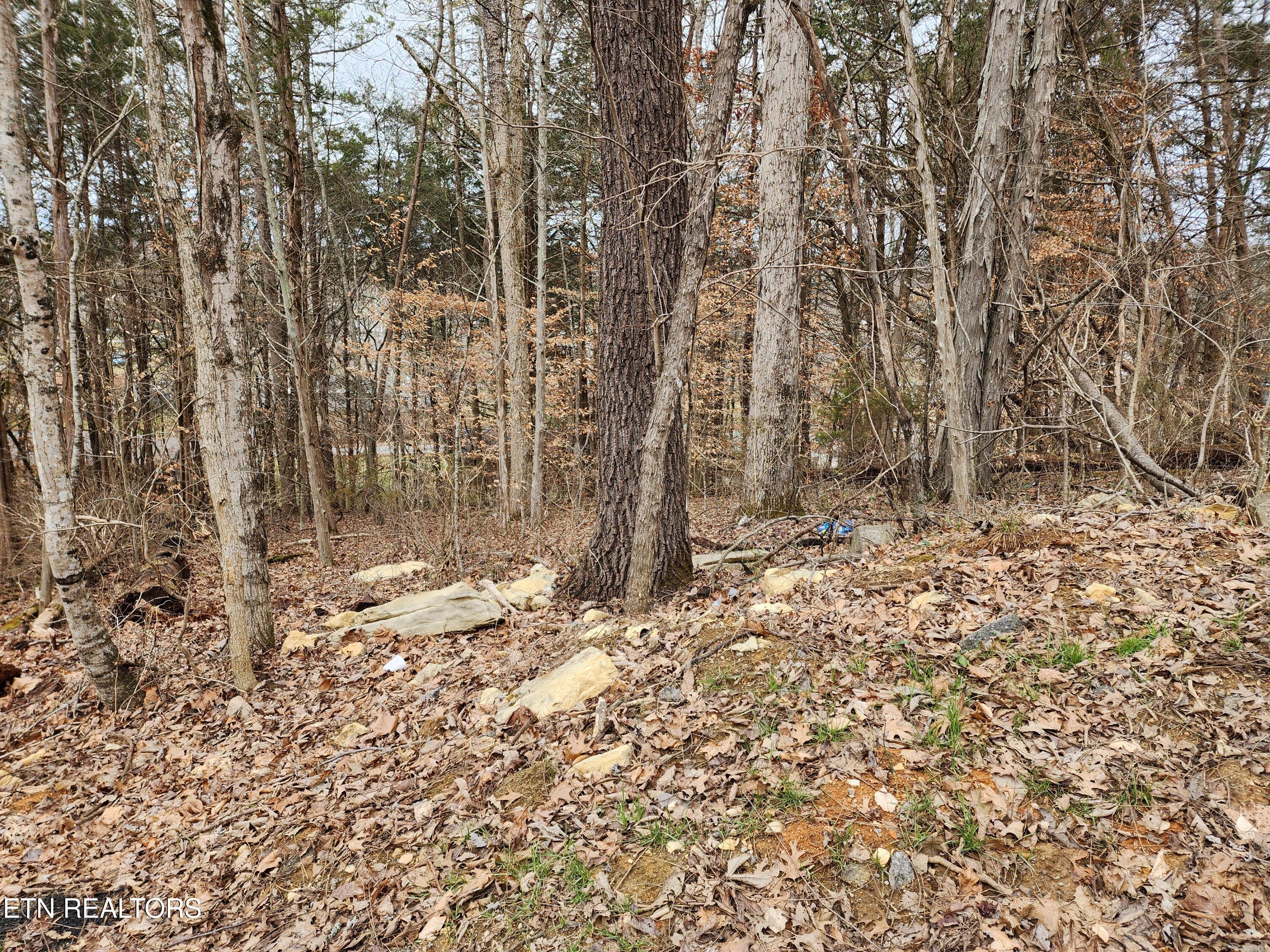 Lot 6 Lynn Drive Drive Property Photo 2