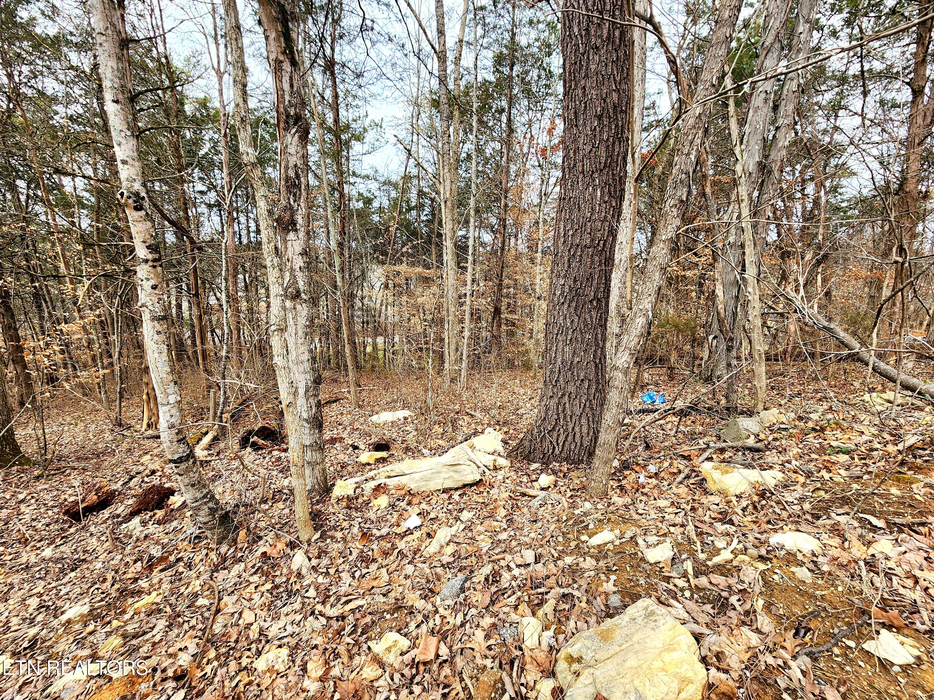 Lot 6 Lynn Drive Drive Property Photo 4