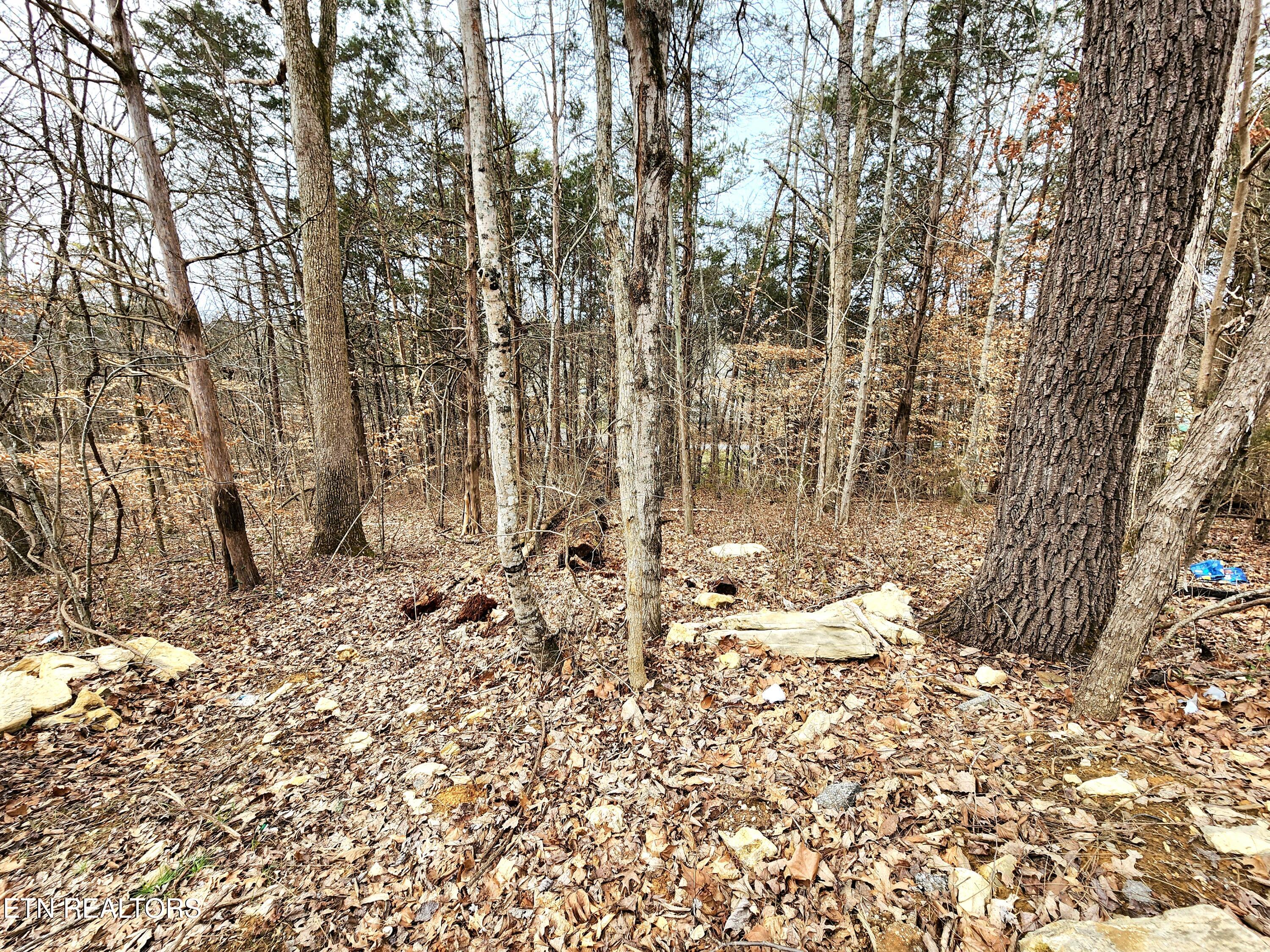 Lot 6 Lynn Drive Drive Property Photo 5