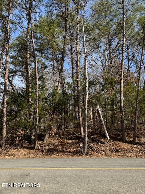 Lot 1191 Tree Line Lane Property Photo