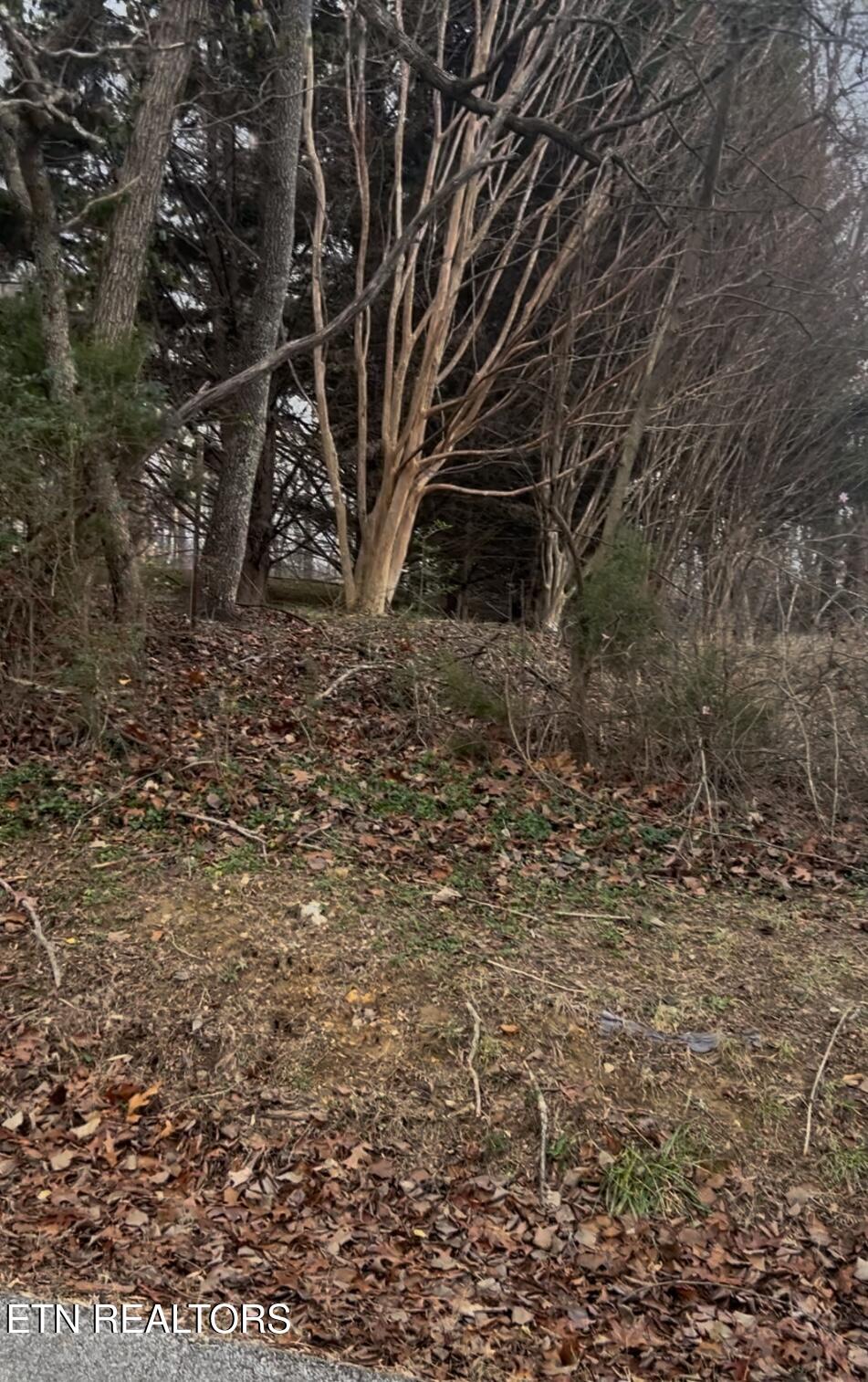 Stephens Rd Property Photo