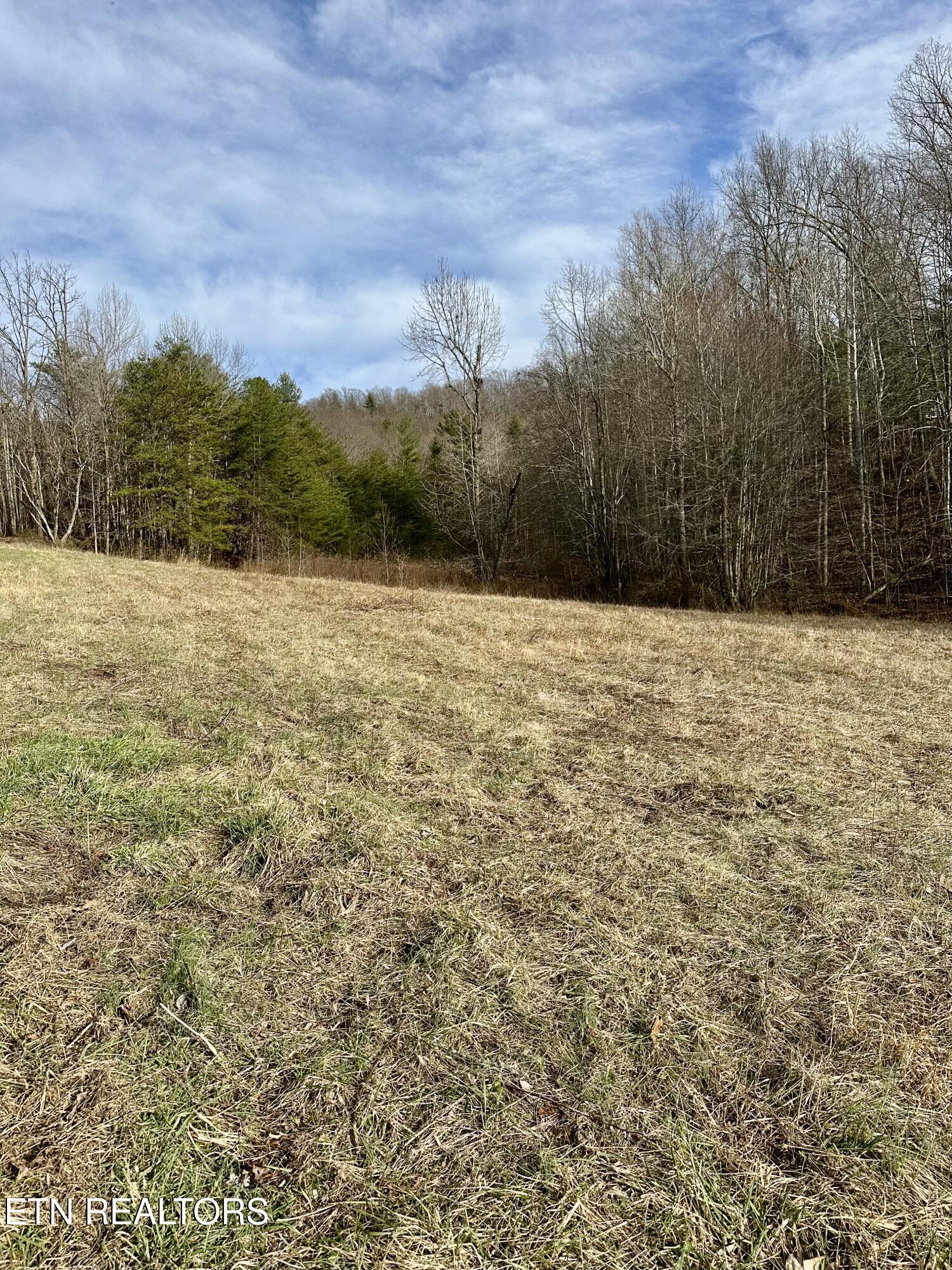 Mullins Lane Property Photo