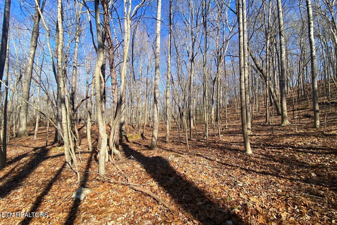 Lot 107 Hiwassee View Drive Property Photo 4