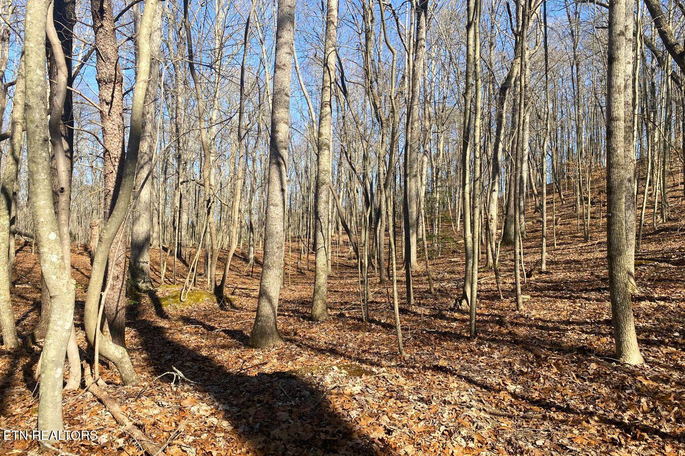 Lot 107 Hiwassee View Drive Property Photo 5