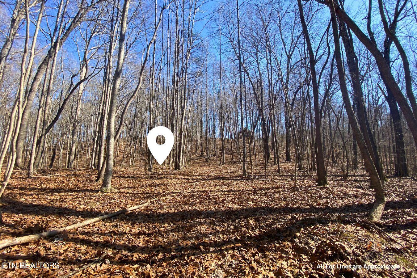 Lot 107 Hiwassee View Drive Property Photo 6