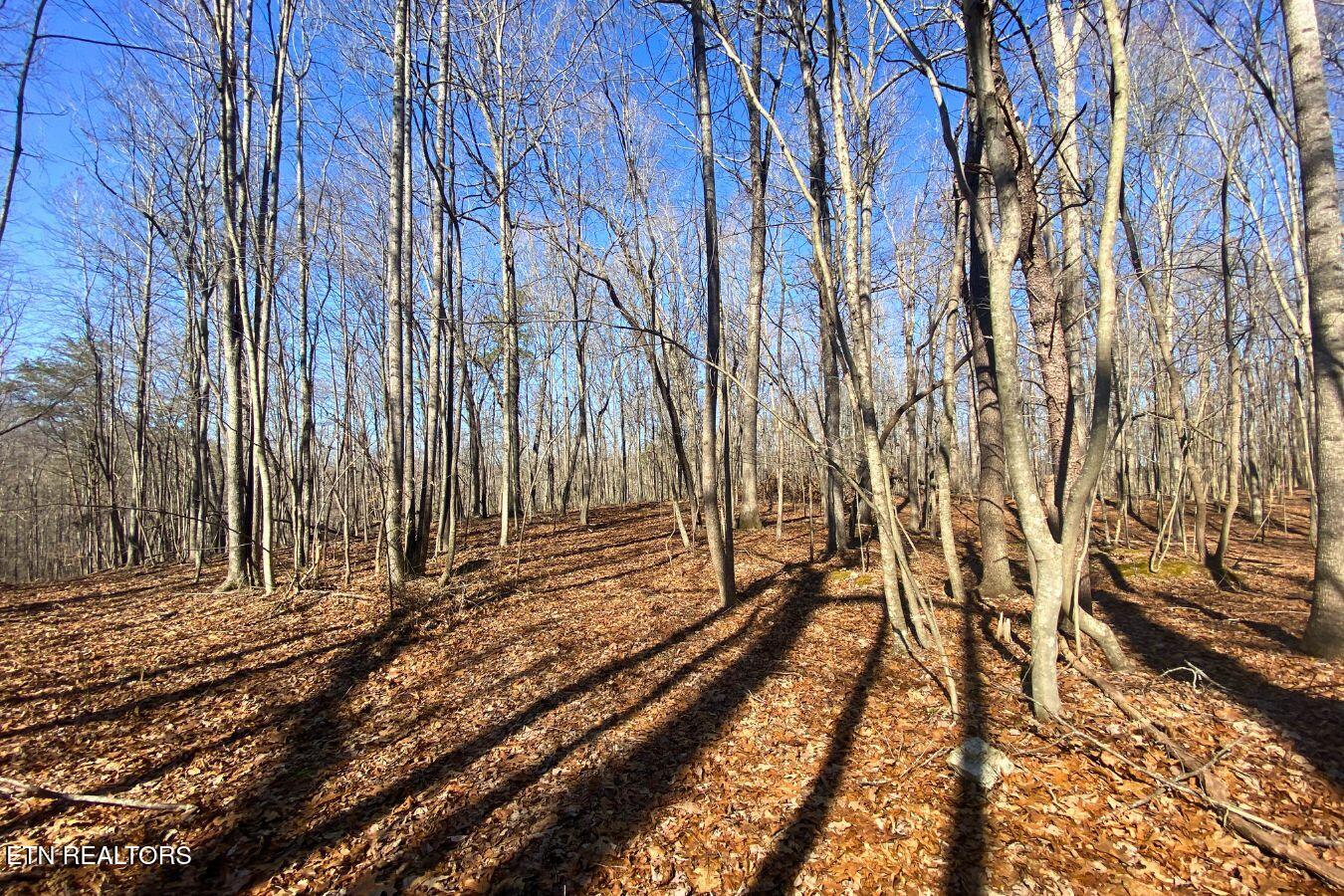 Lot 107 Hiwassee View Drive Property Photo 7