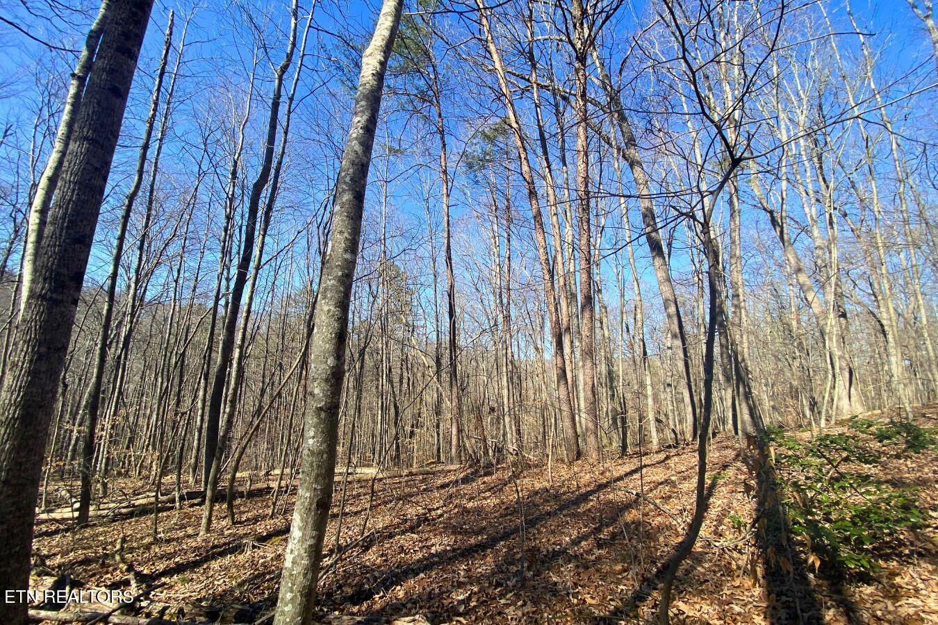 Lot 107 Hiwassee View Drive Property Photo 8