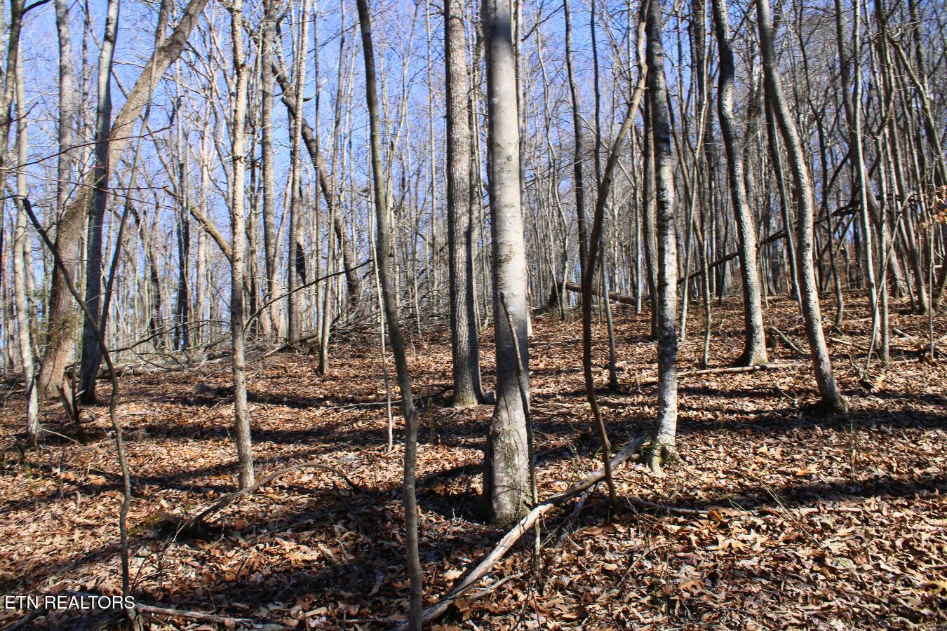 Lot 107 Hiwassee View Drive Property Photo 9