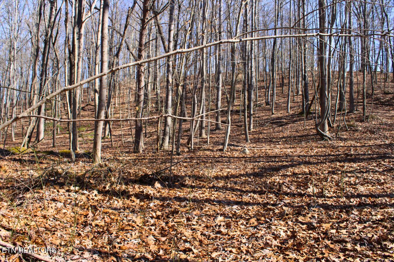 Lot 107 Hiwassee View Drive Property Photo 10
