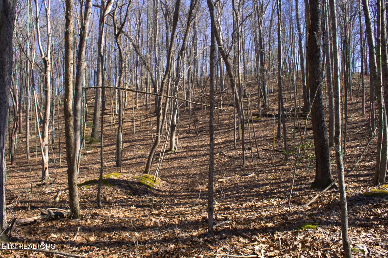 Lot 107 Hiwassee View Drive Property Photo 11