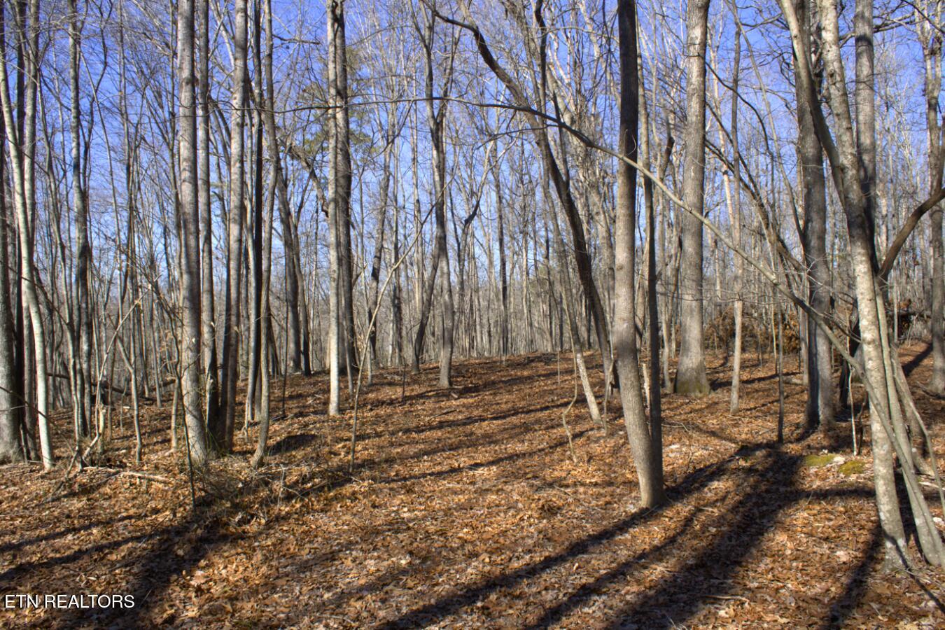 Lot 107 Hiwassee View Drive Property Photo 12