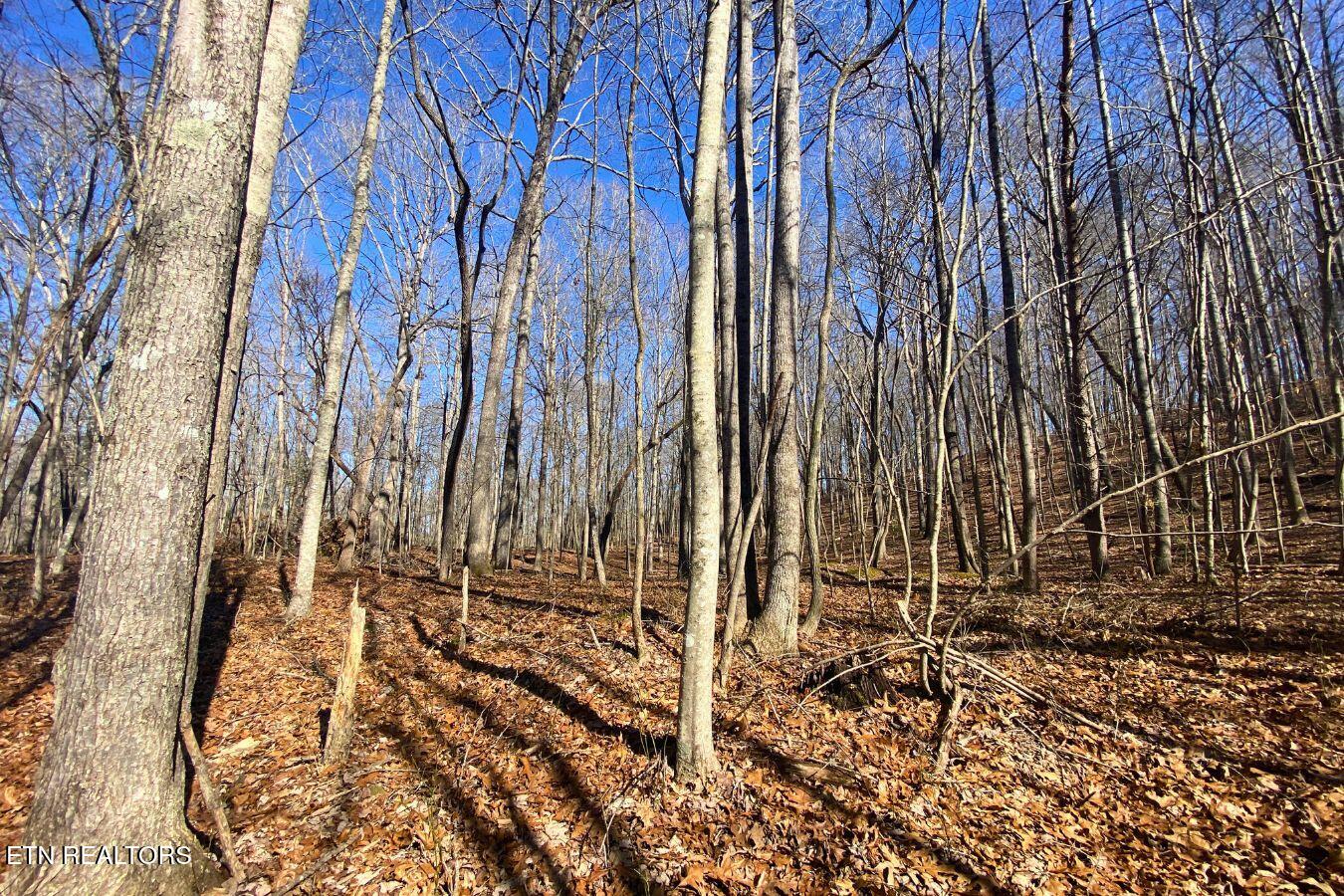Lot 107 Hiwassee View Drive Property Photo 13